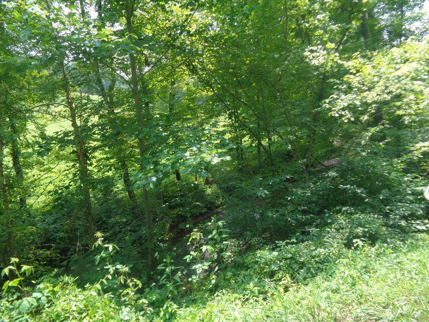 Lot 36 Cliffs Edge Road Property Photo 1