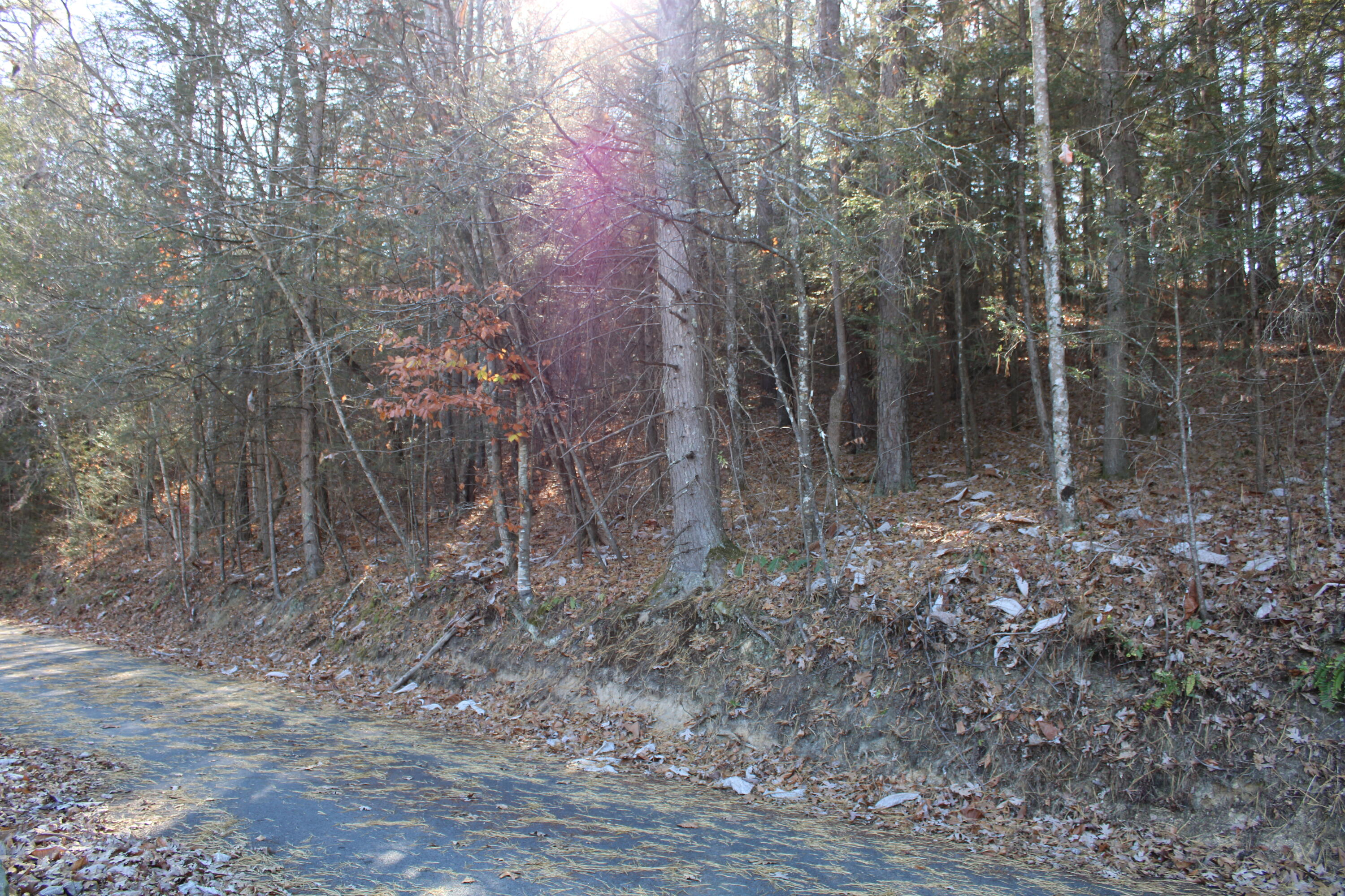 1265 Lake Road Property Photo 2