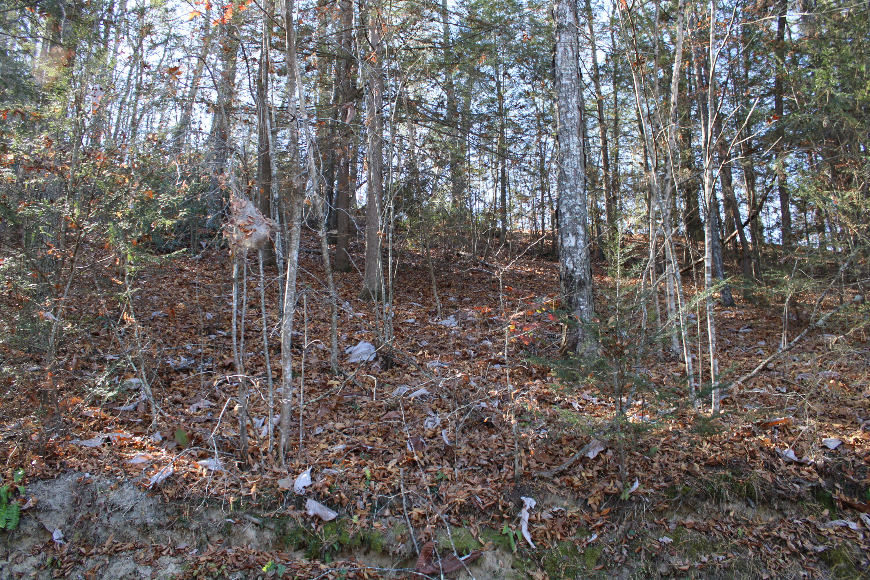 1265 Lake Road Property Photo 3