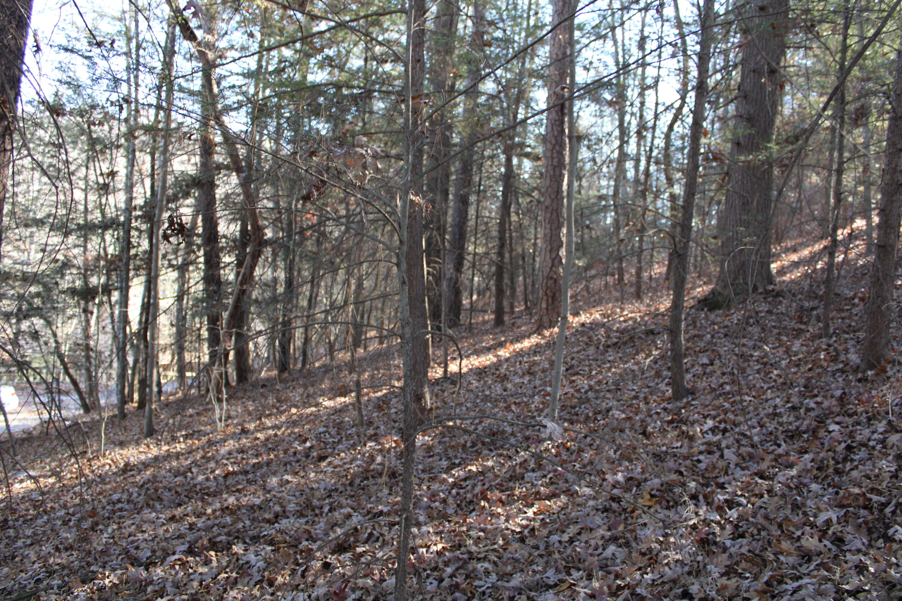 1265 Lake Road Property Photo 4