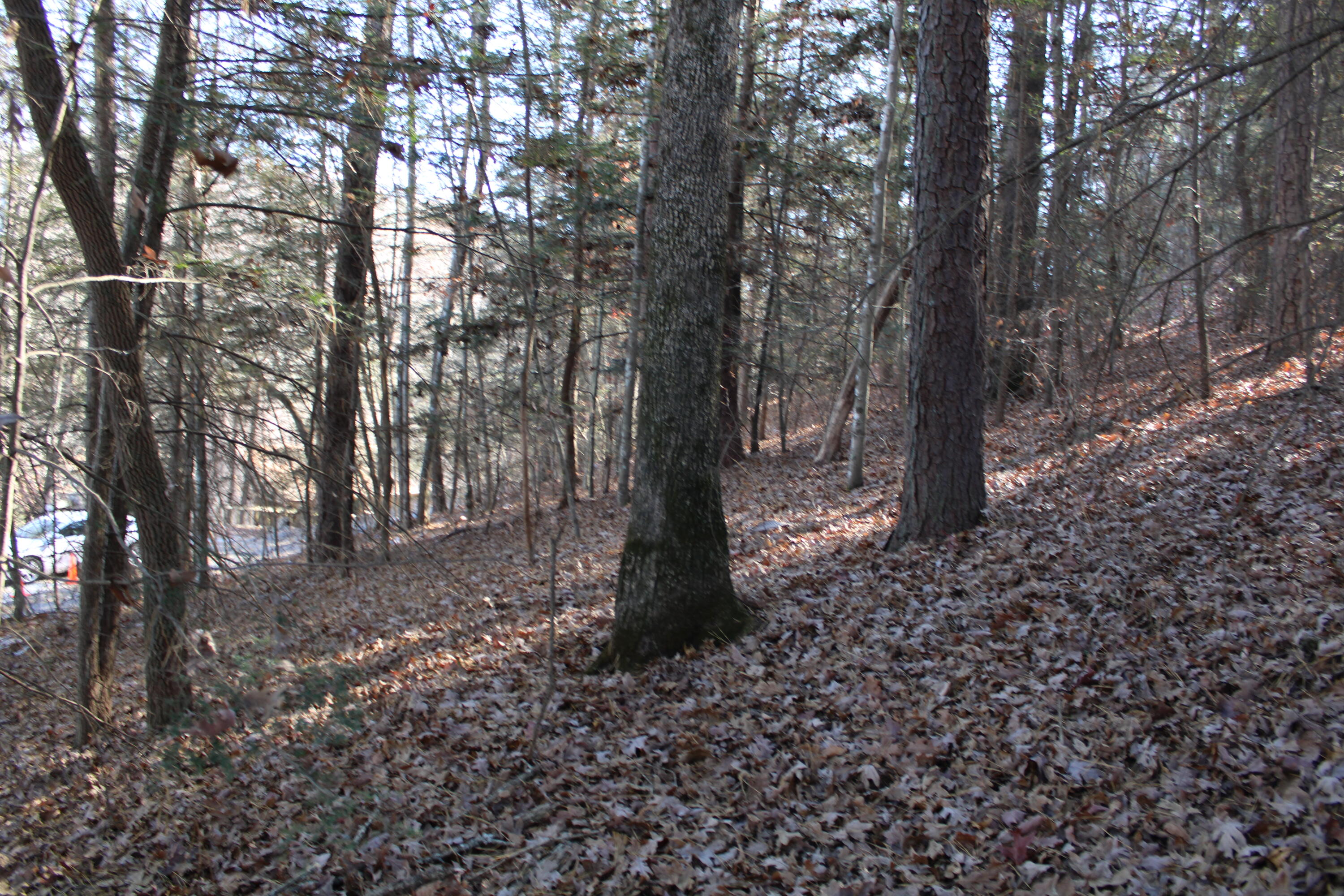 1265 Lake Road Property Photo 5