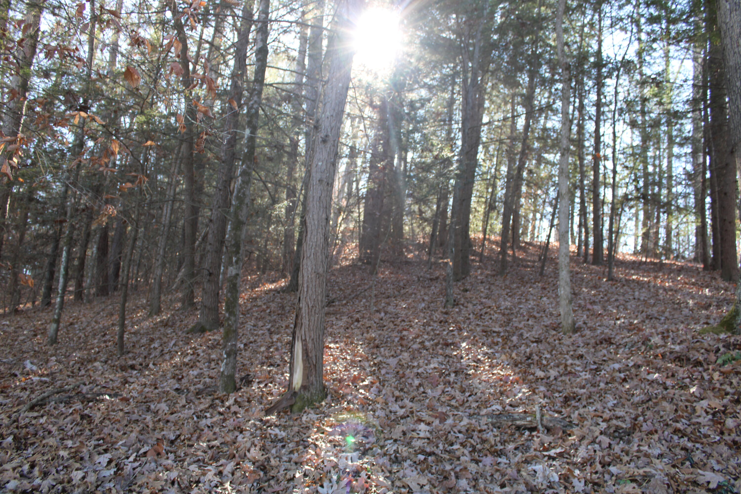 1265 Lake Road Property Photo 6