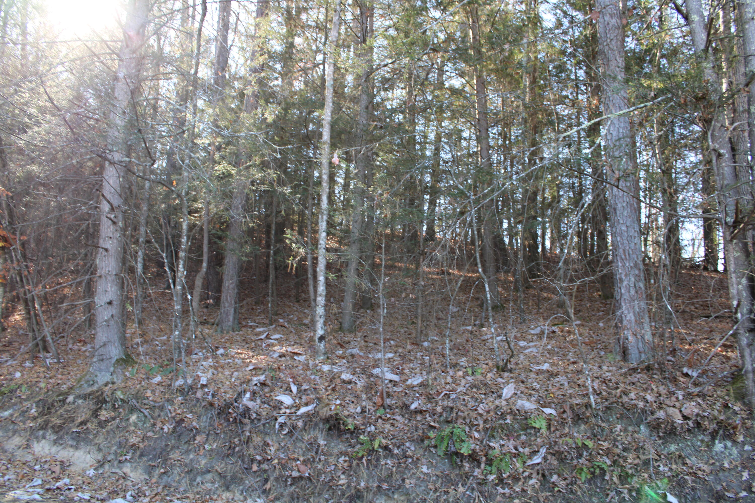 1265 Lake Road Property Photo 8