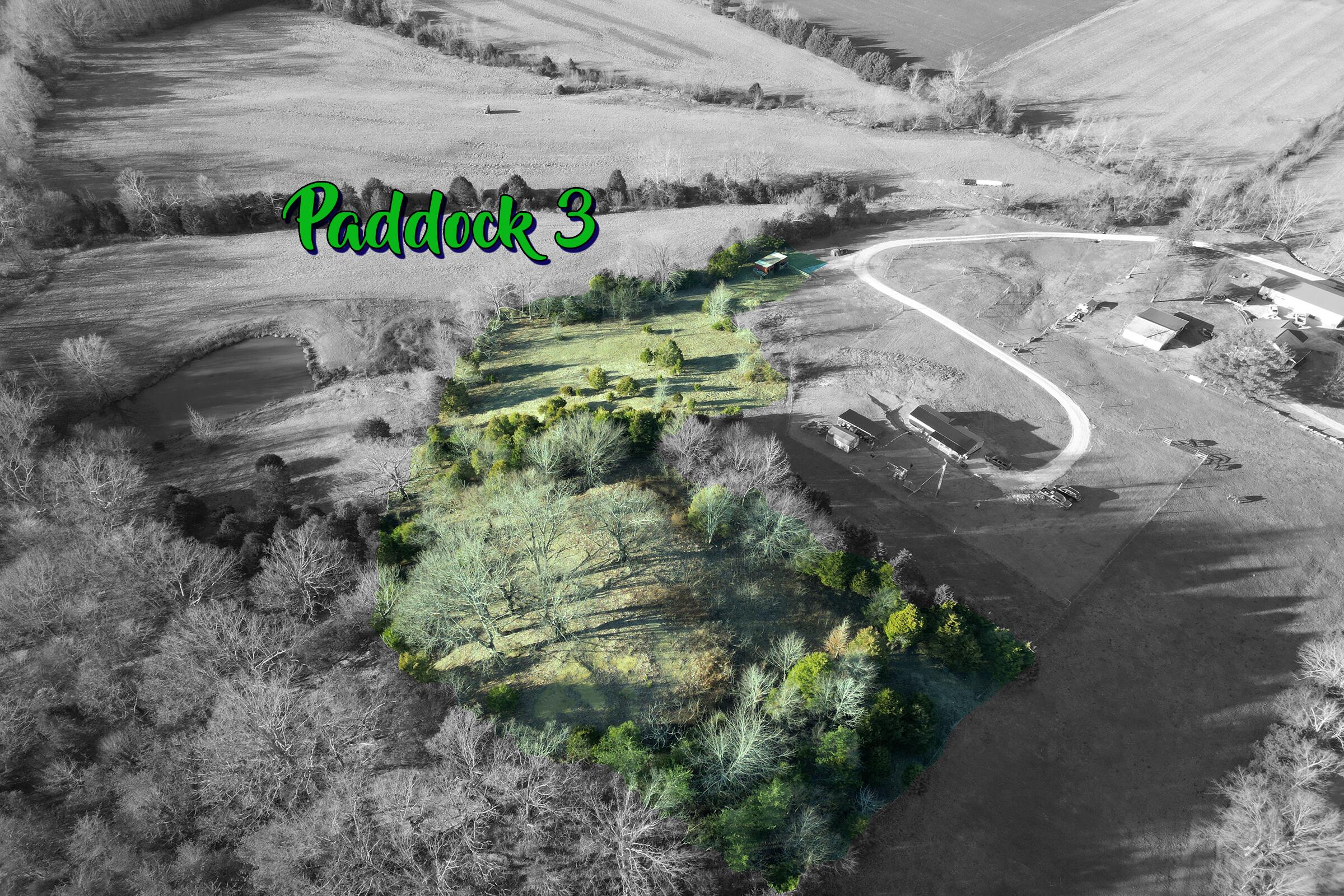 7179 St Joe Road Road Property Photo 17