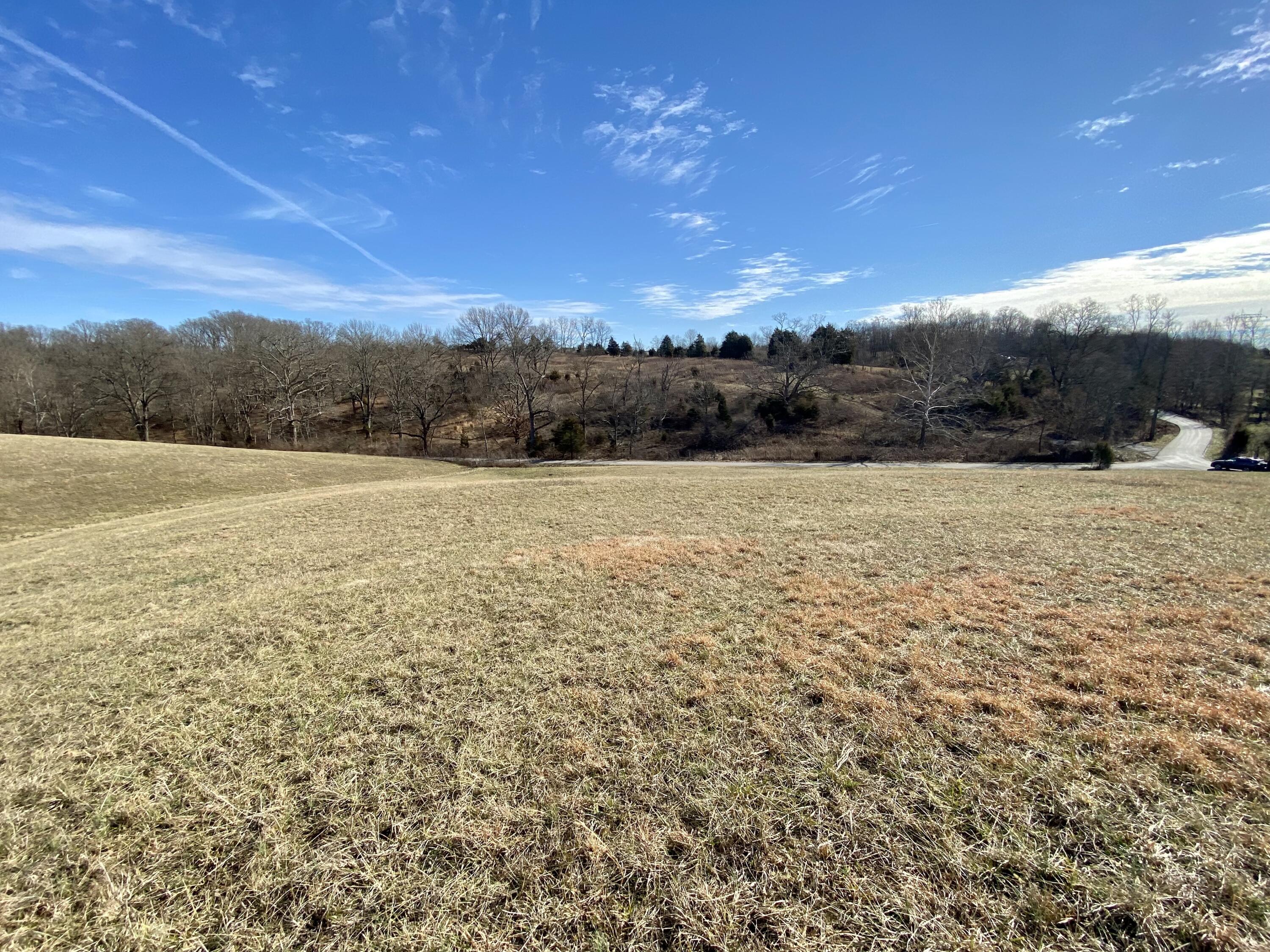0 Briar Fork Road Property Photo 3