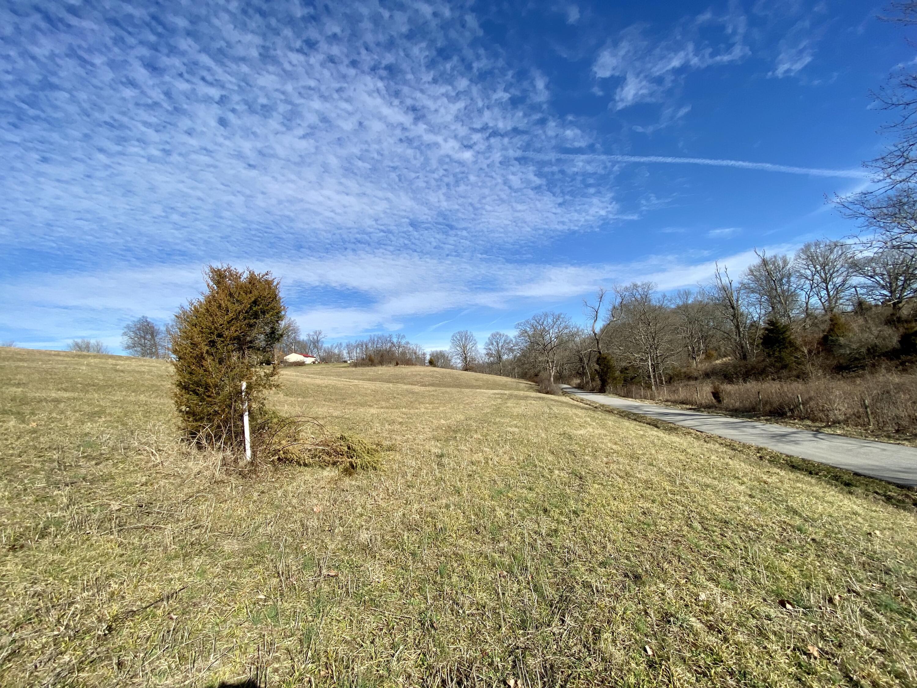 0 Briar Fork Road Property Photo 4