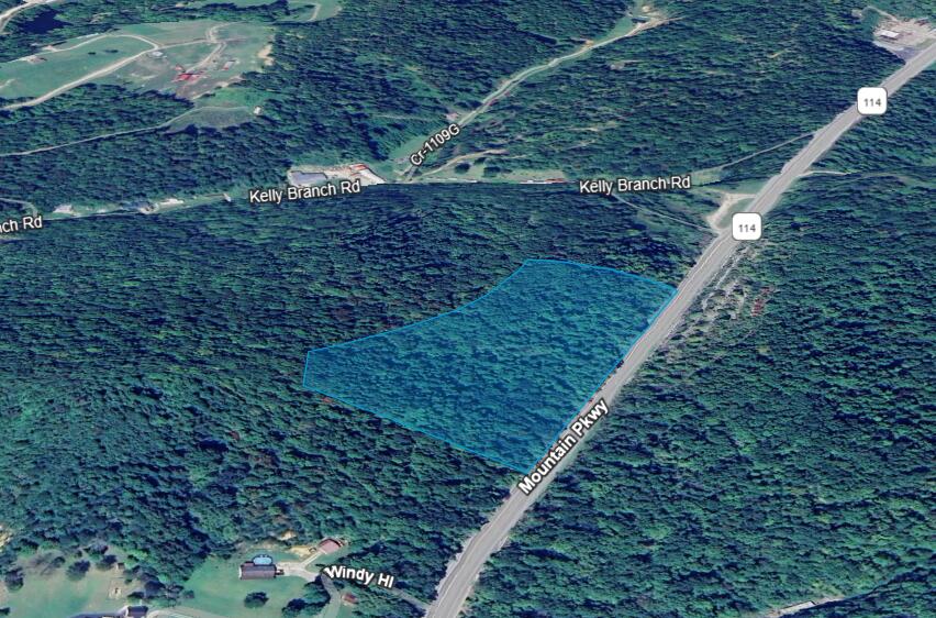 0 Mountain Parkway Property Photo 1