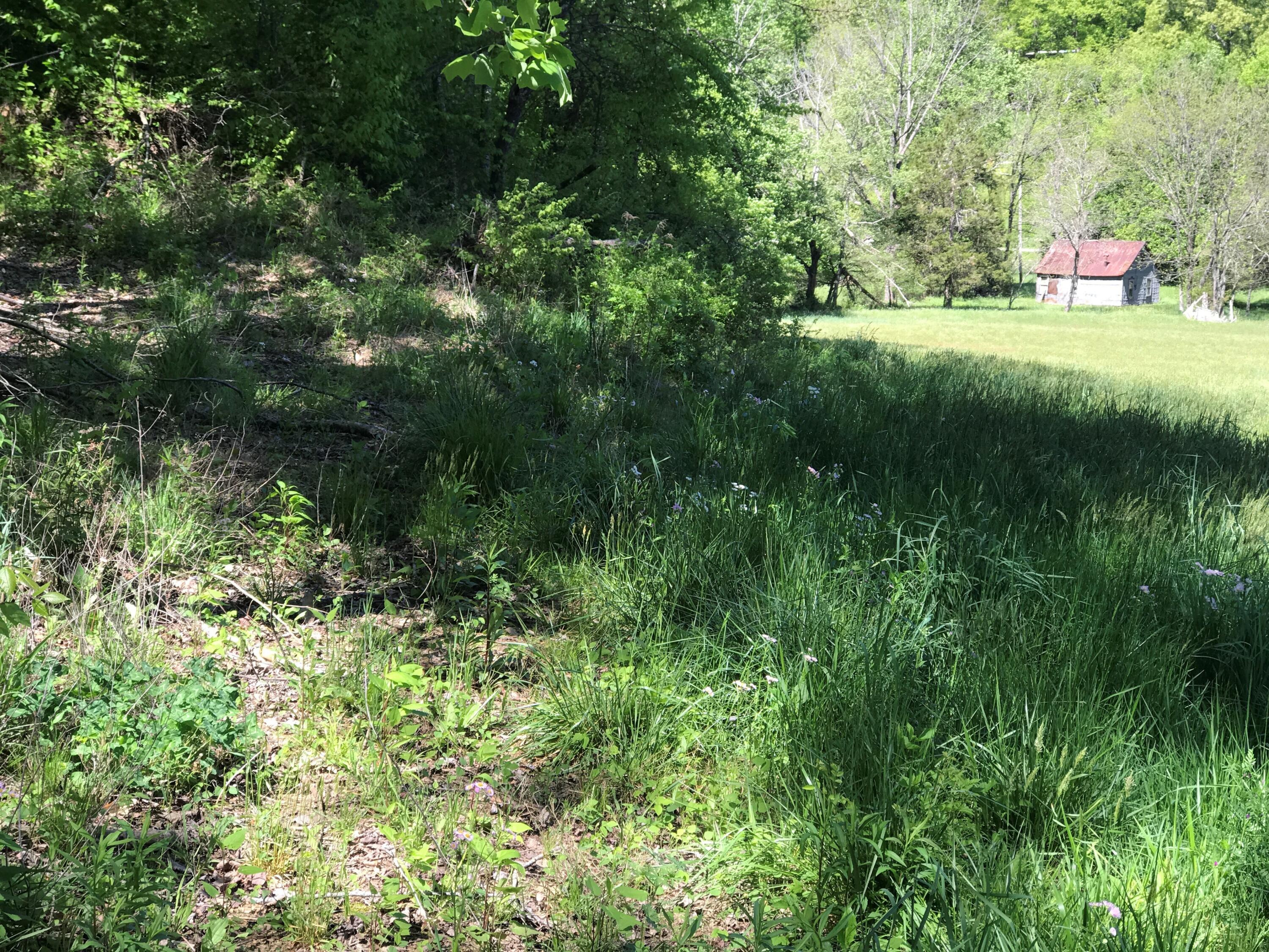 0 Chesnut Grove Road Property Photo 3