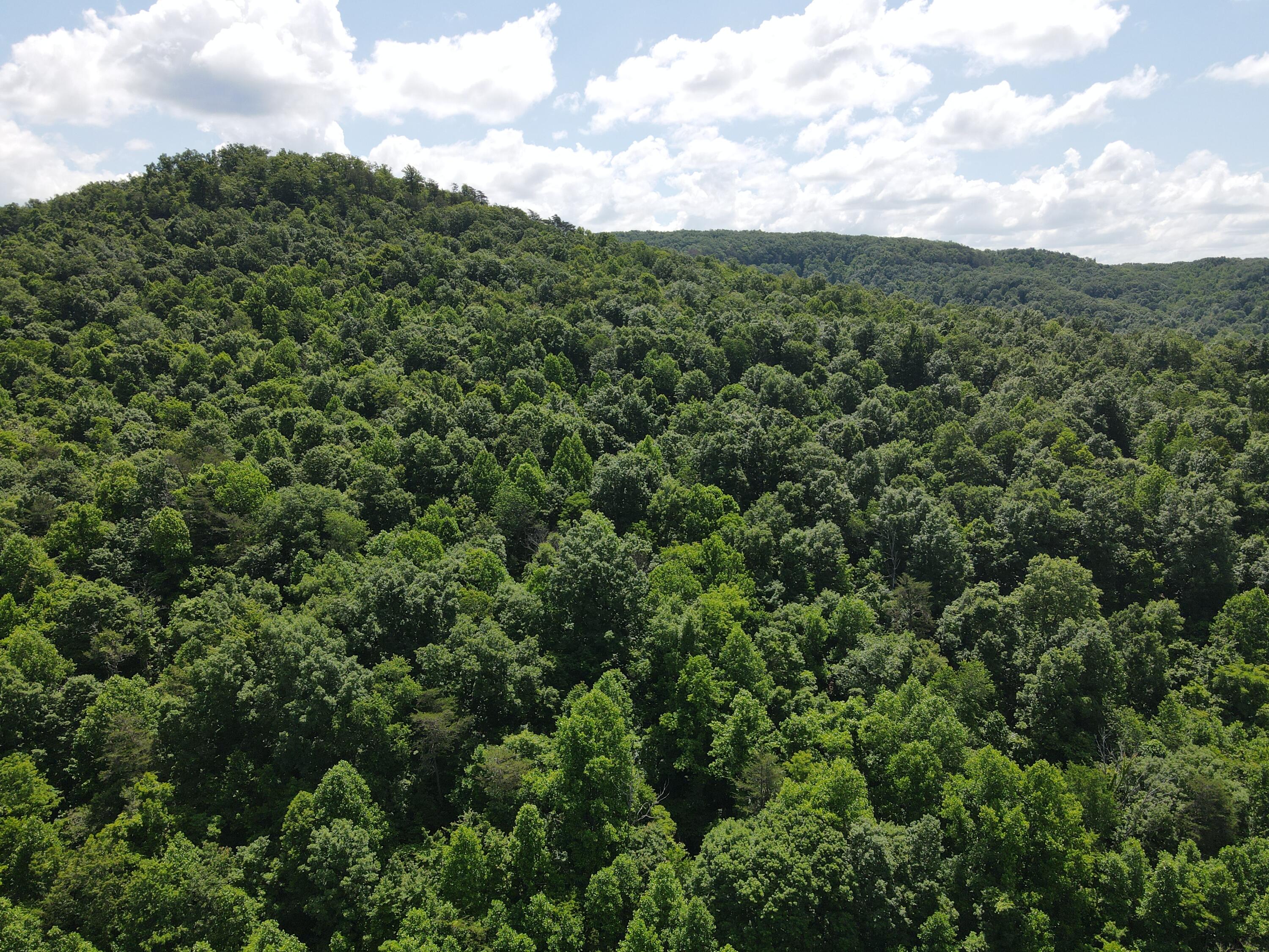 0 Chesnut Grove Road Property Photo 6