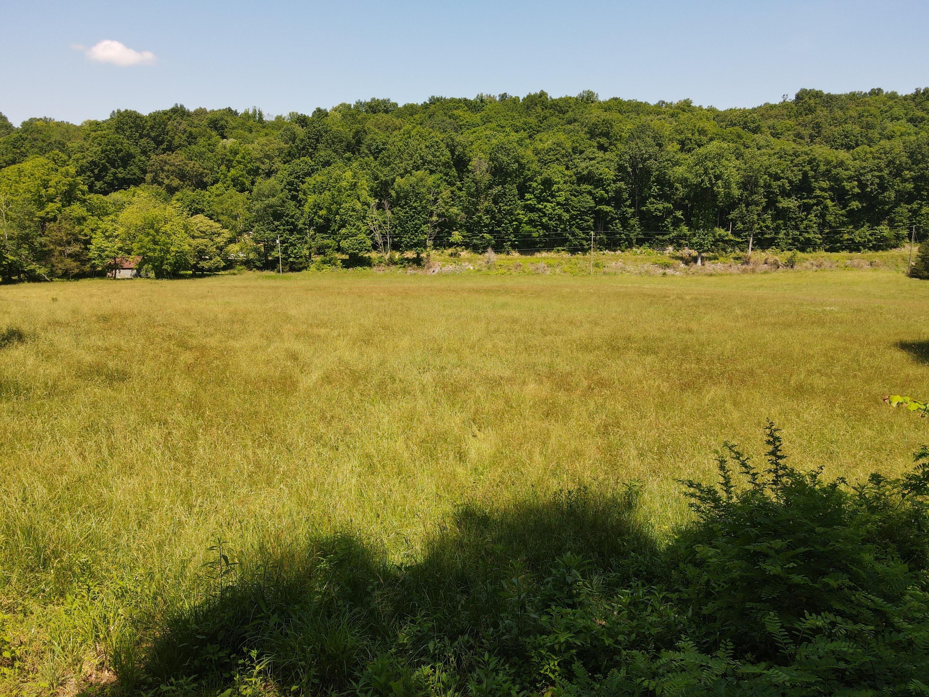 0 Chesnut Grove Road Property Photo 8