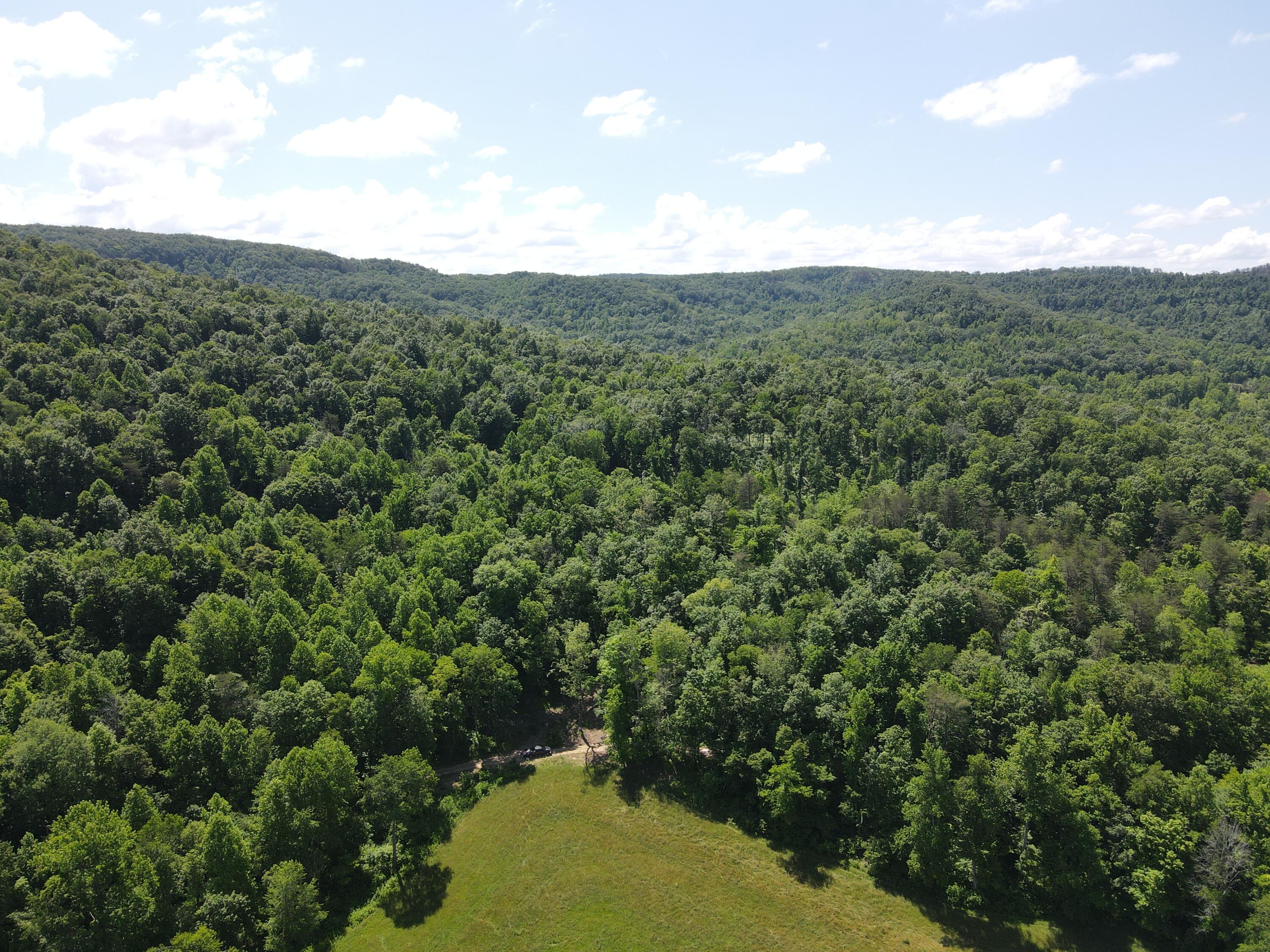 0 Chesnut Grove Road Property Photo 12