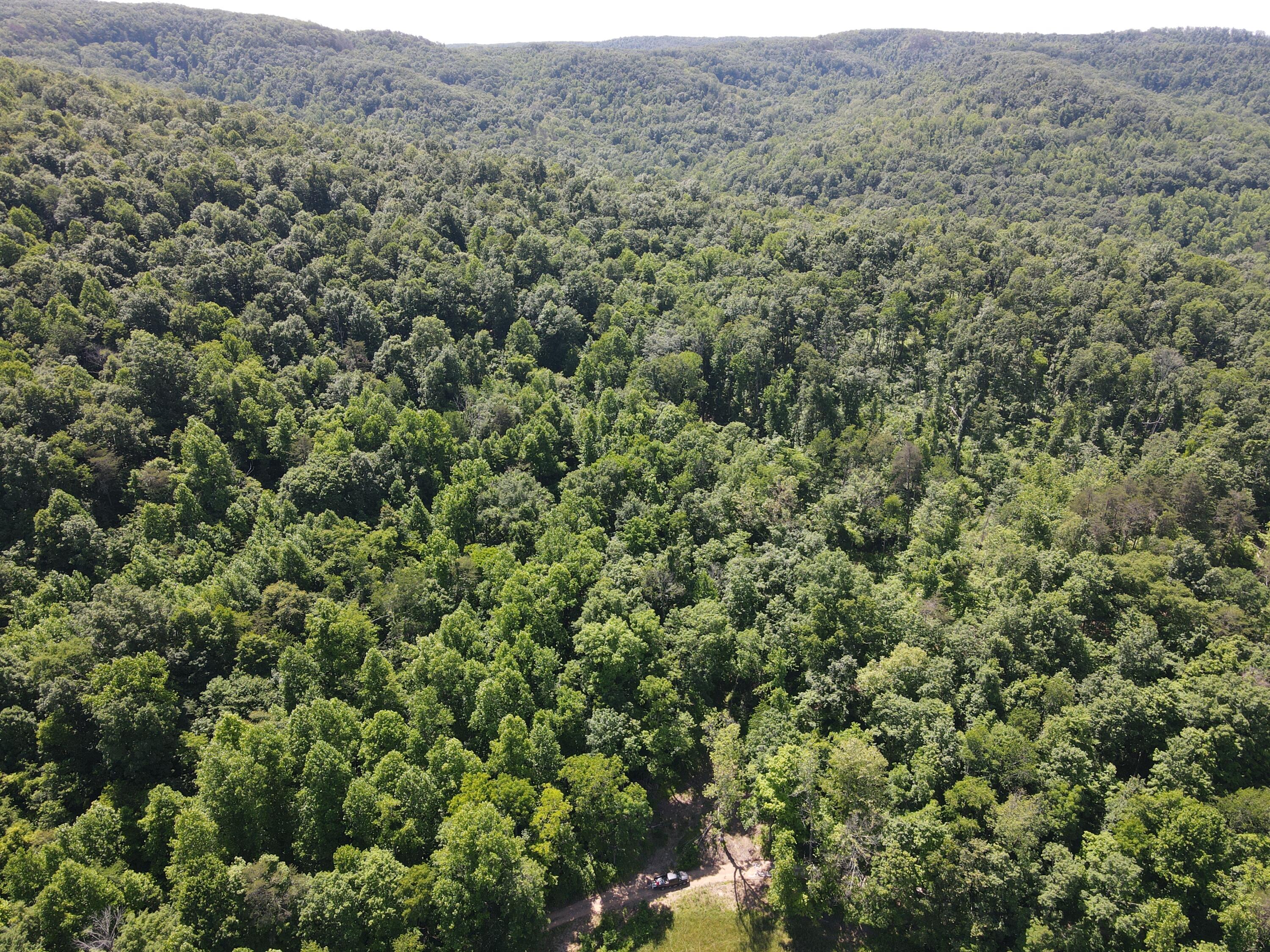 0 Chesnut Grove Road Property Photo 14