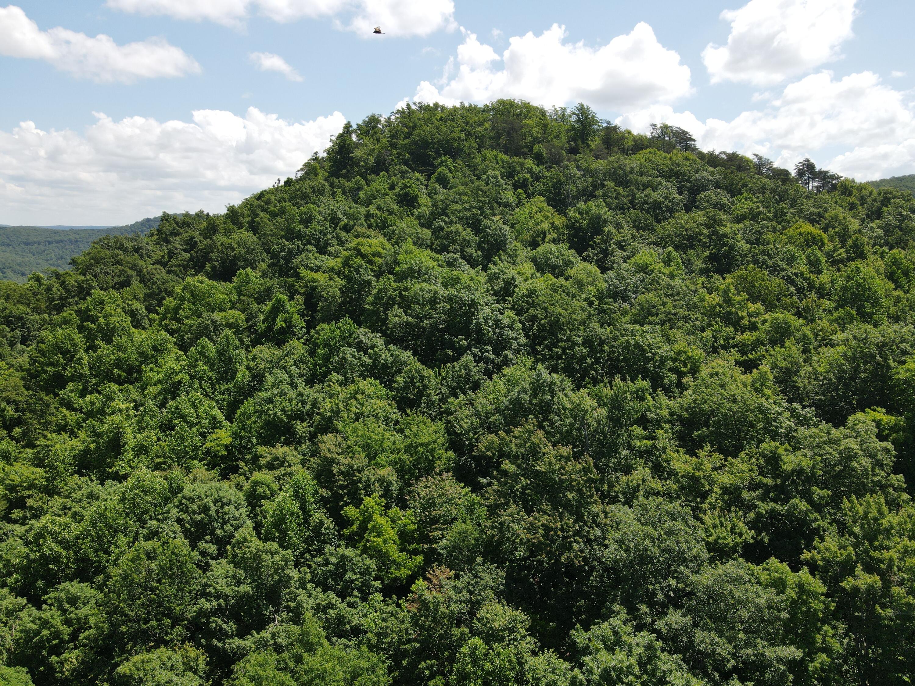 0 Chesnut Grove Road Property Photo 15