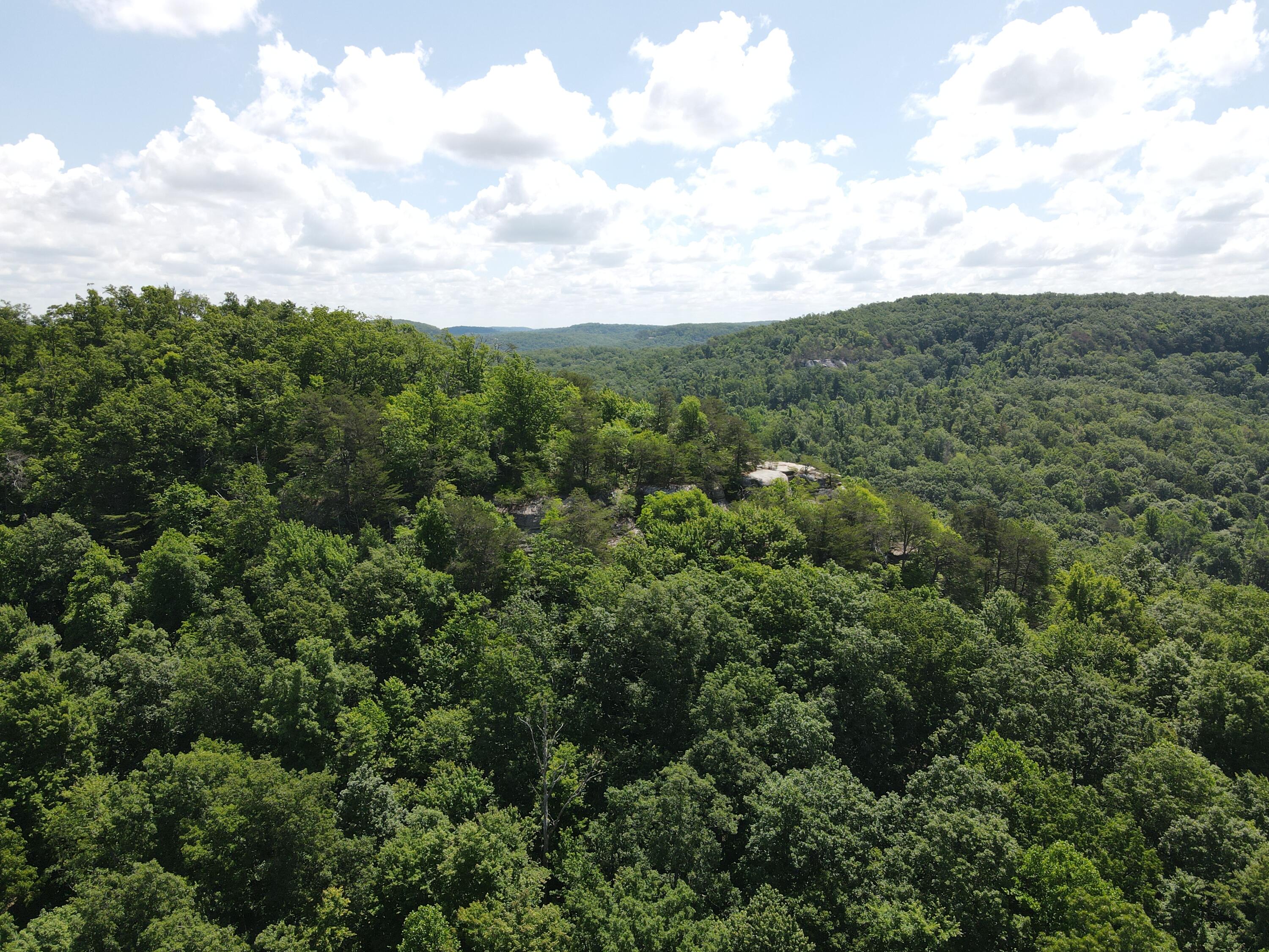 0 Chesnut Grove Road Property Photo 16