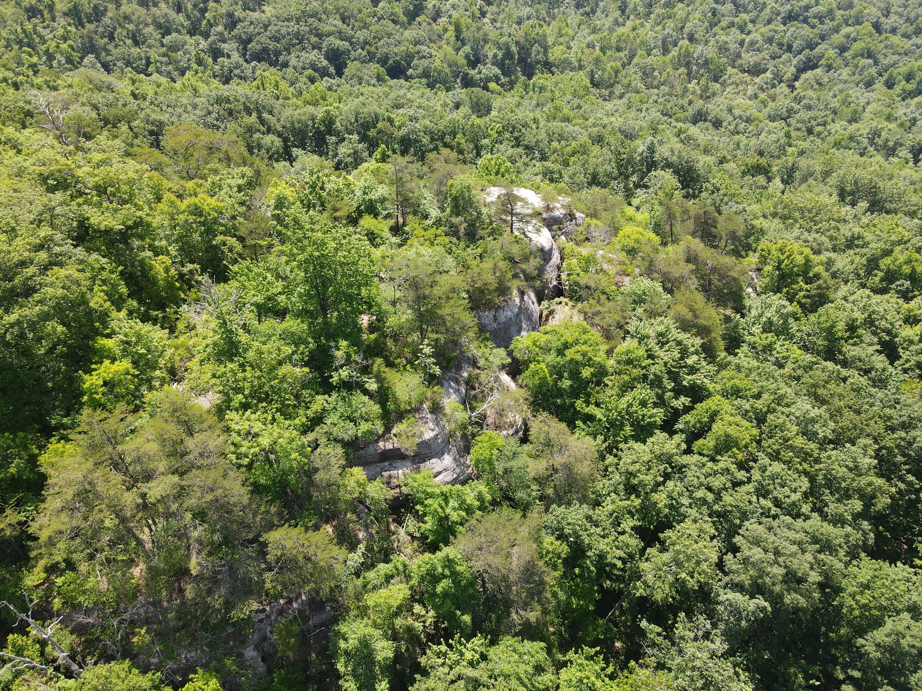 0 Chesnut Grove Road Property Photo 17
