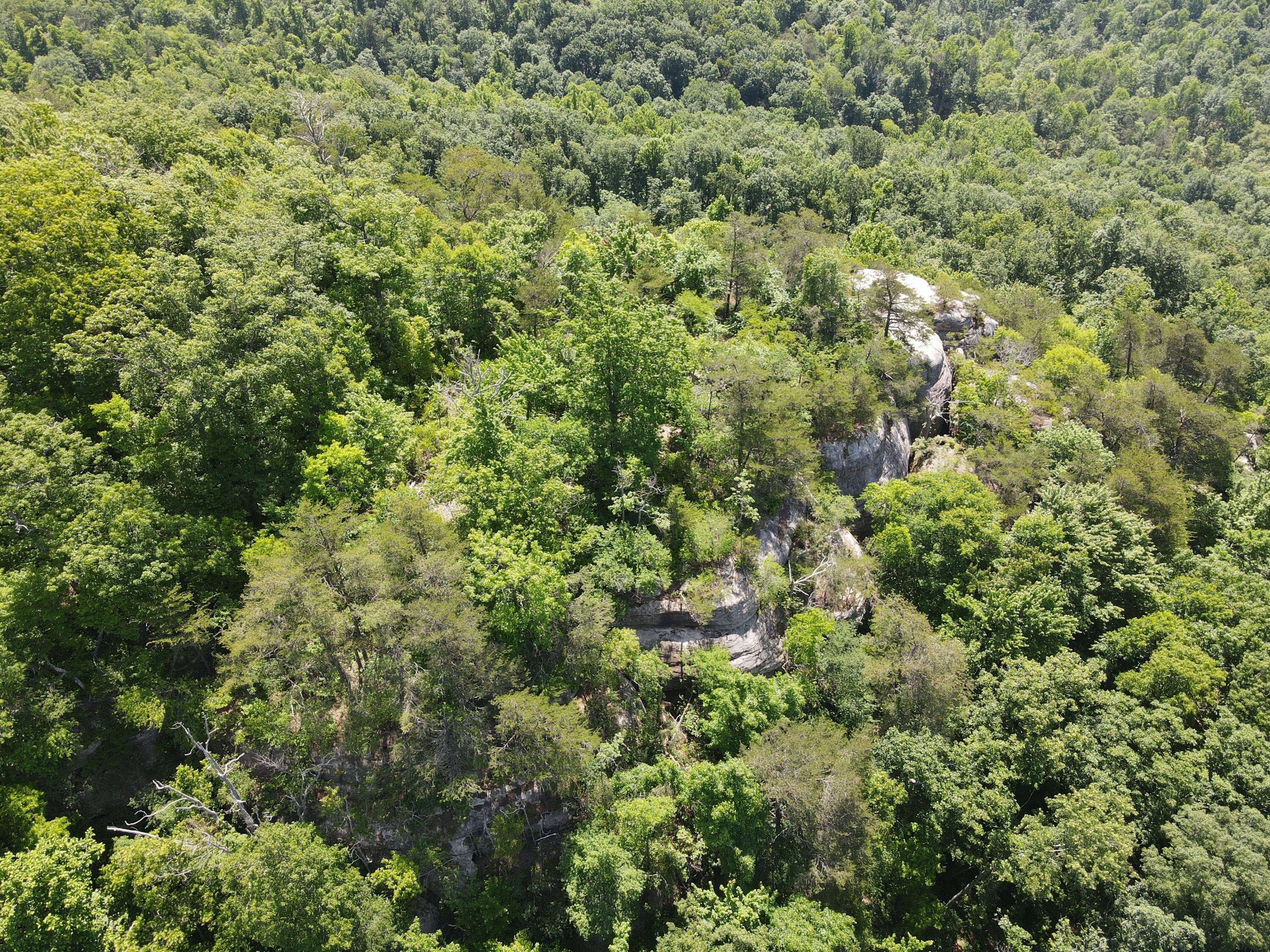 0 Chesnut Grove Road Property Photo 18