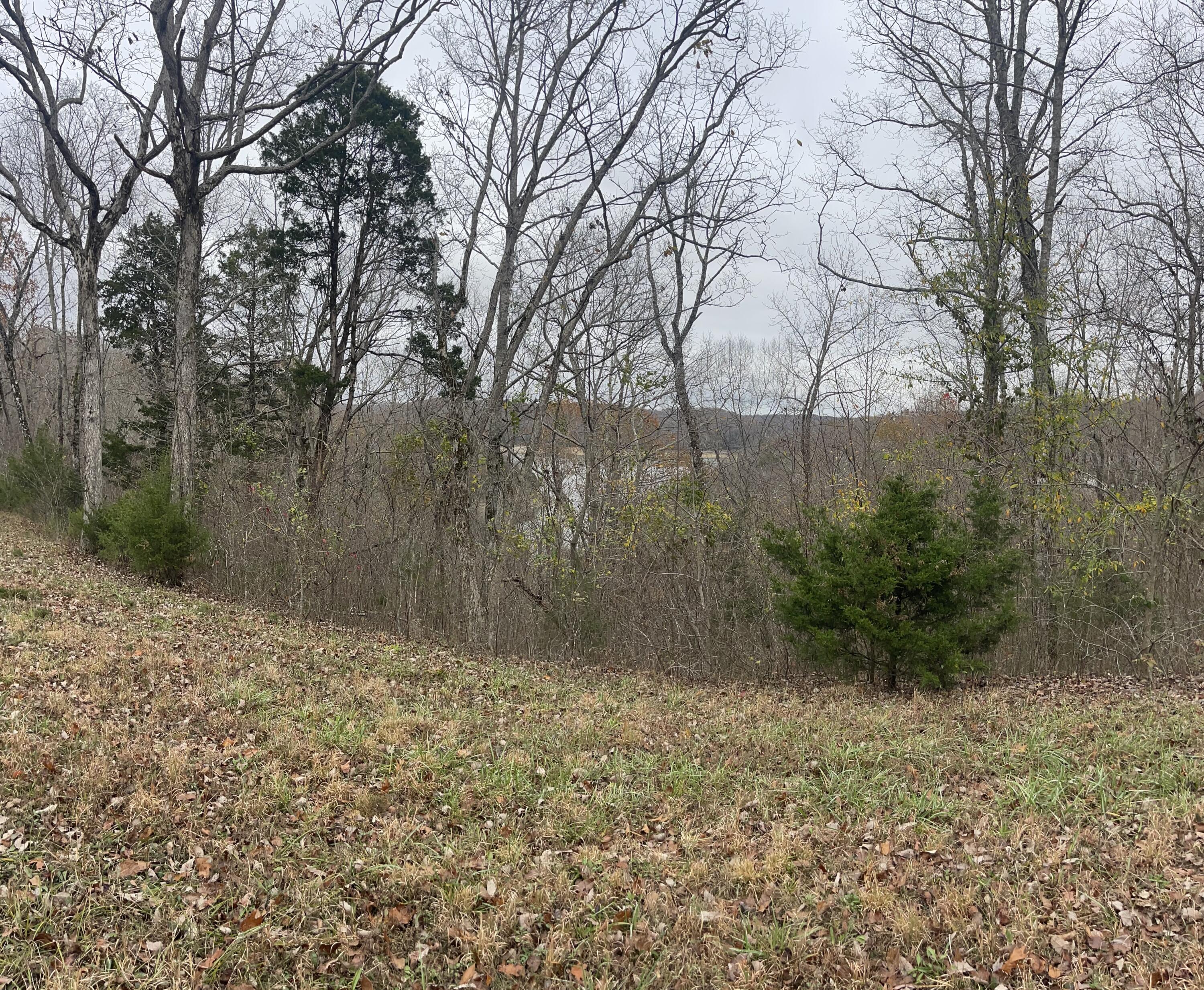 Lot 59 Cumberland Shores Property Photo 1