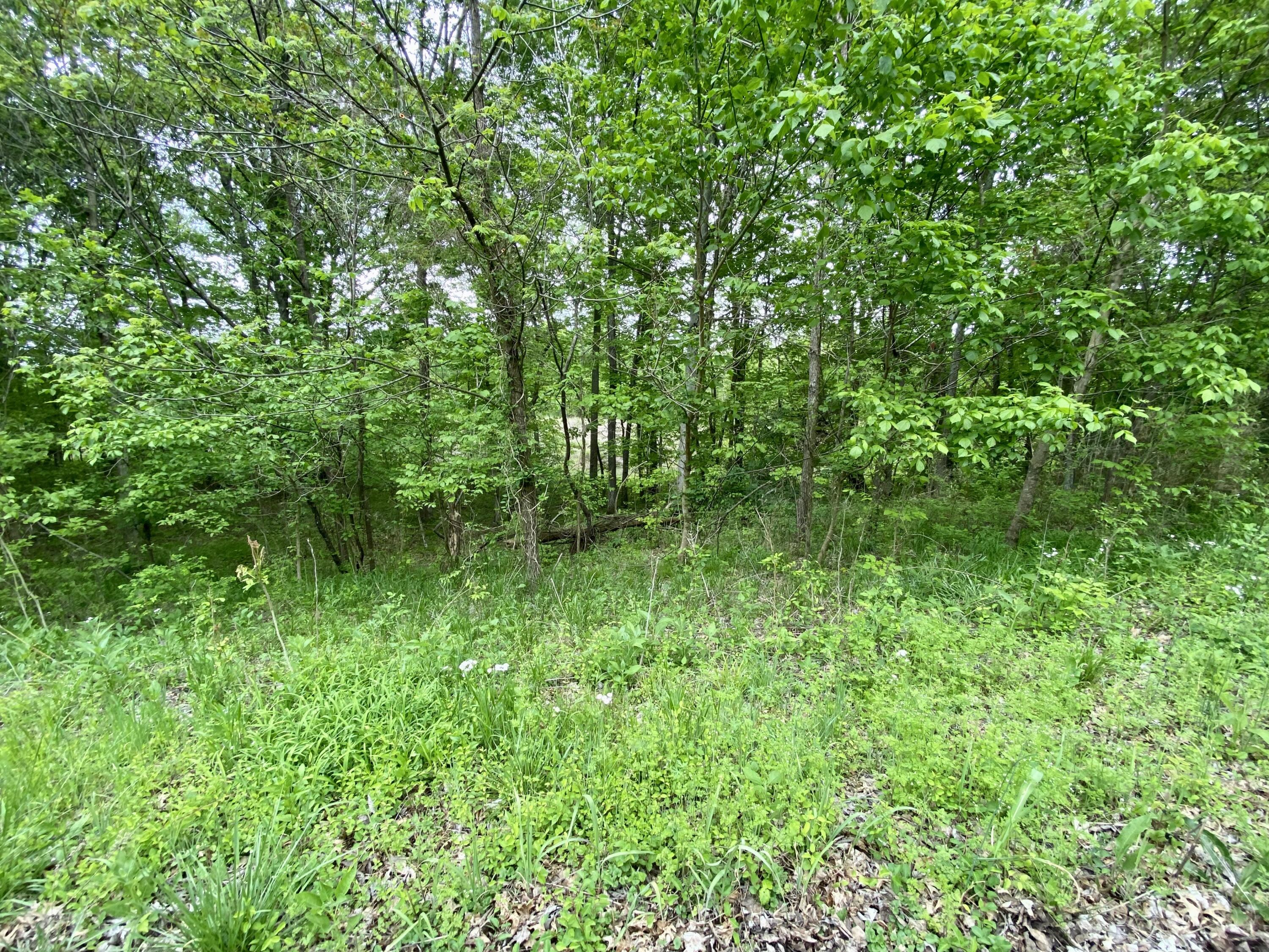 77 Lafayette Road Property Photo 1