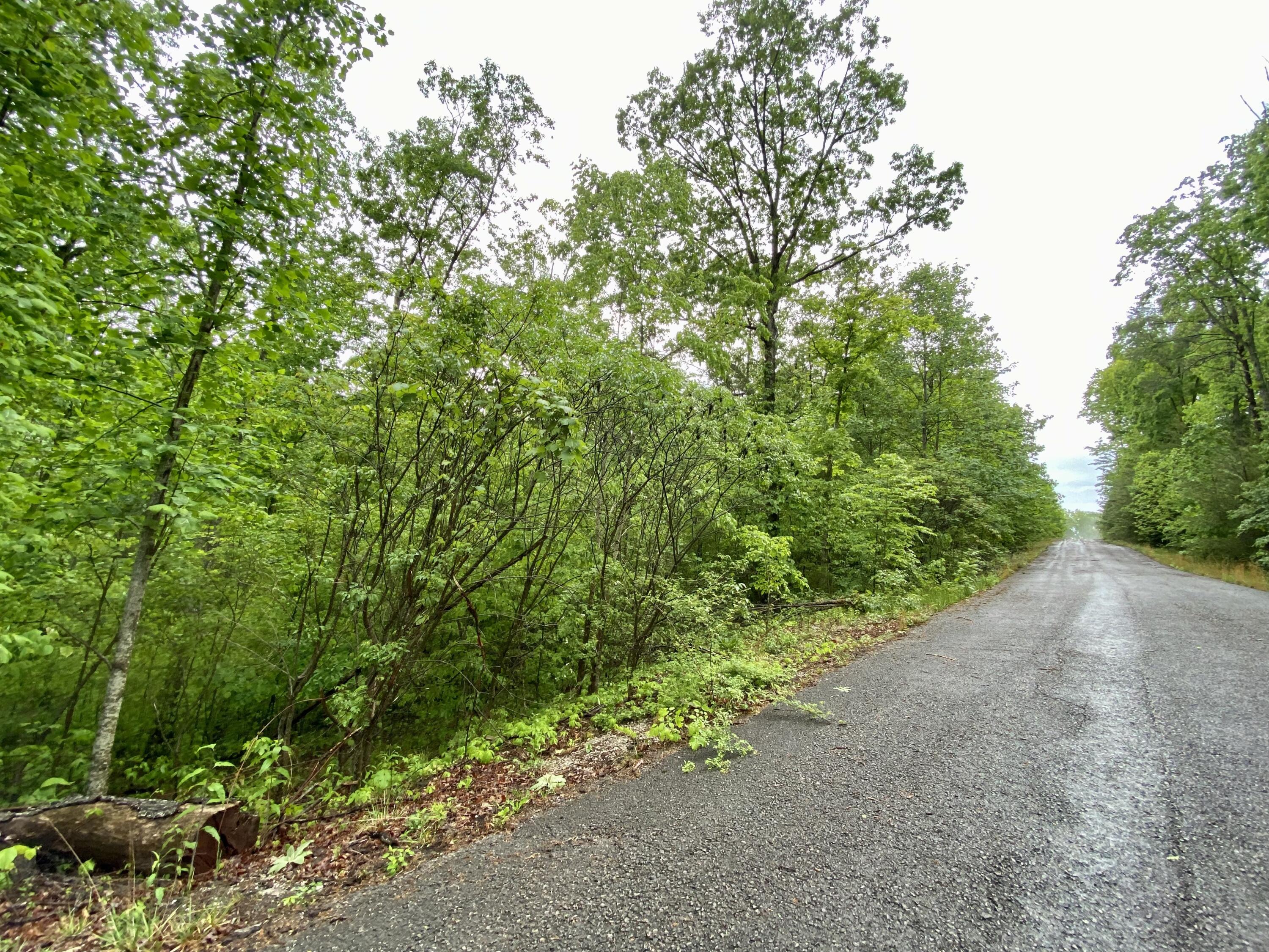 0 Boone Ridge Trail Property Photo 1