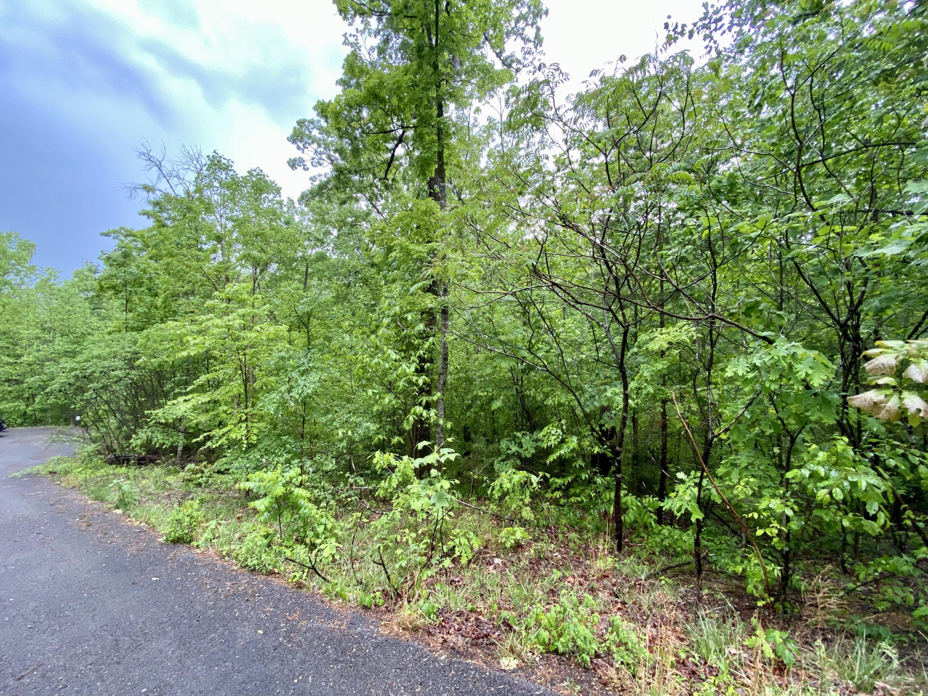 0 Boone Ridge Trail Property Photo 3