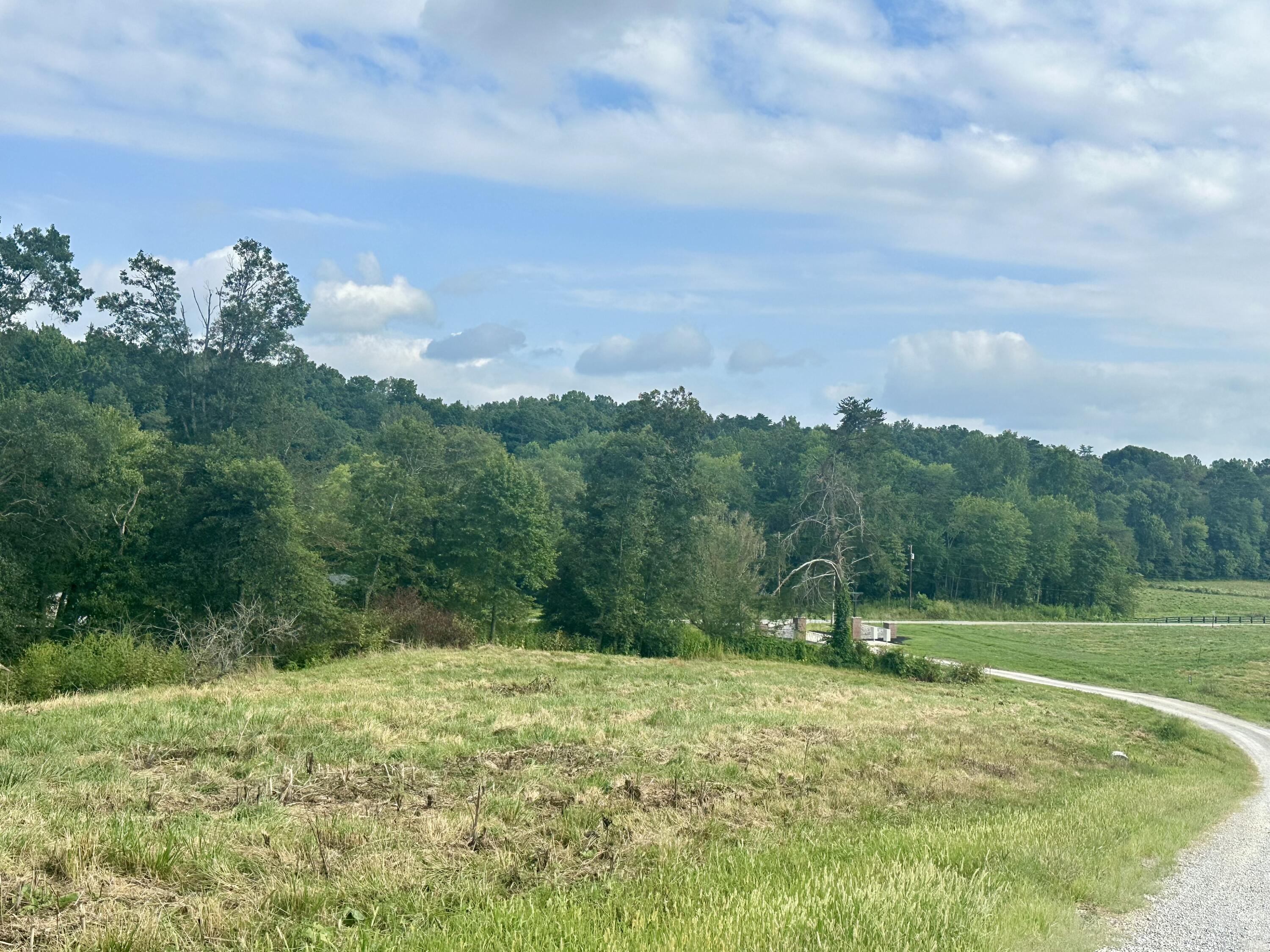 Tract 1 Pittsburg Landing Road Property Photo 8