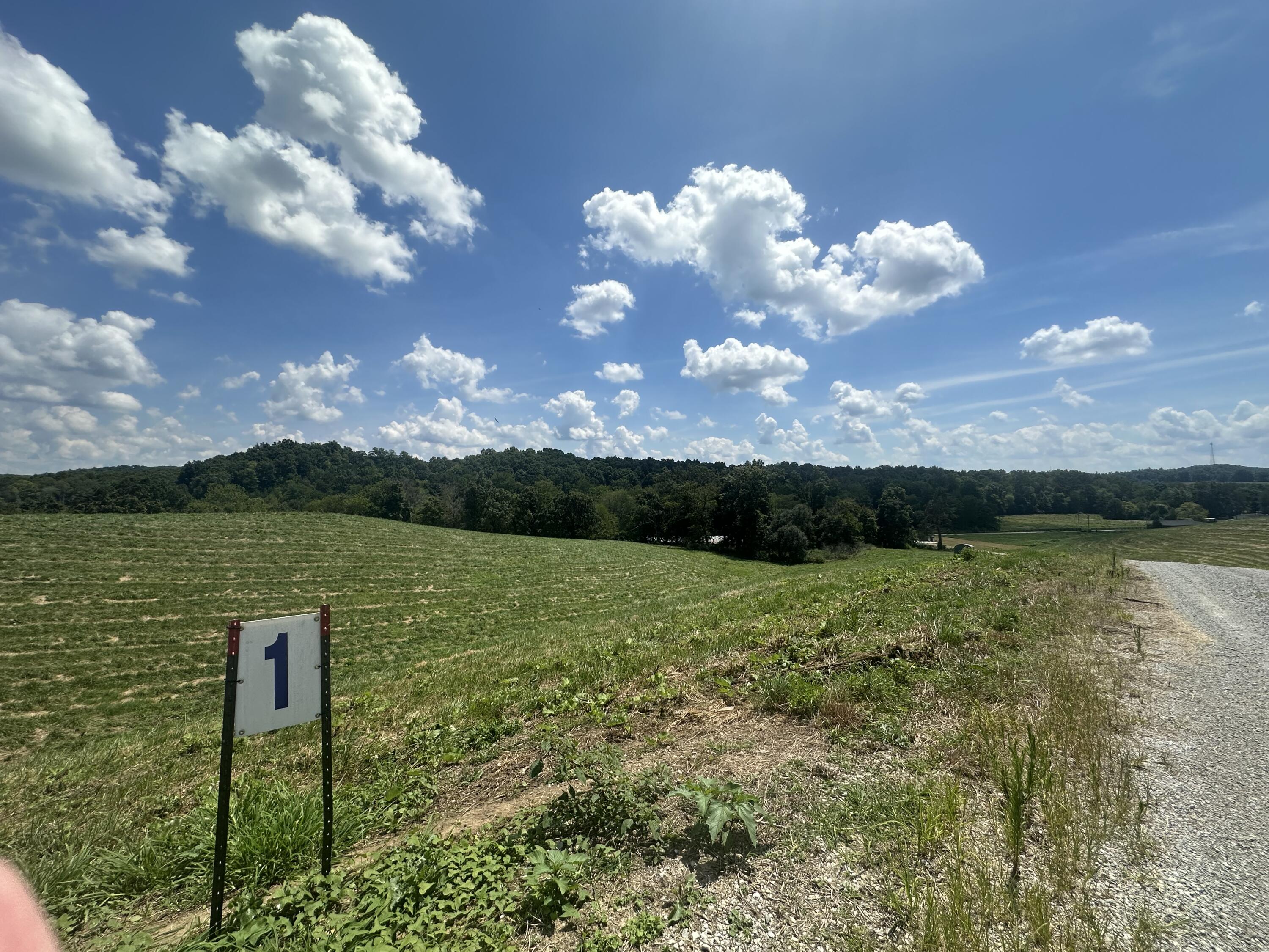 Tract 1 Pittsburg Landing Road Property Photo 11