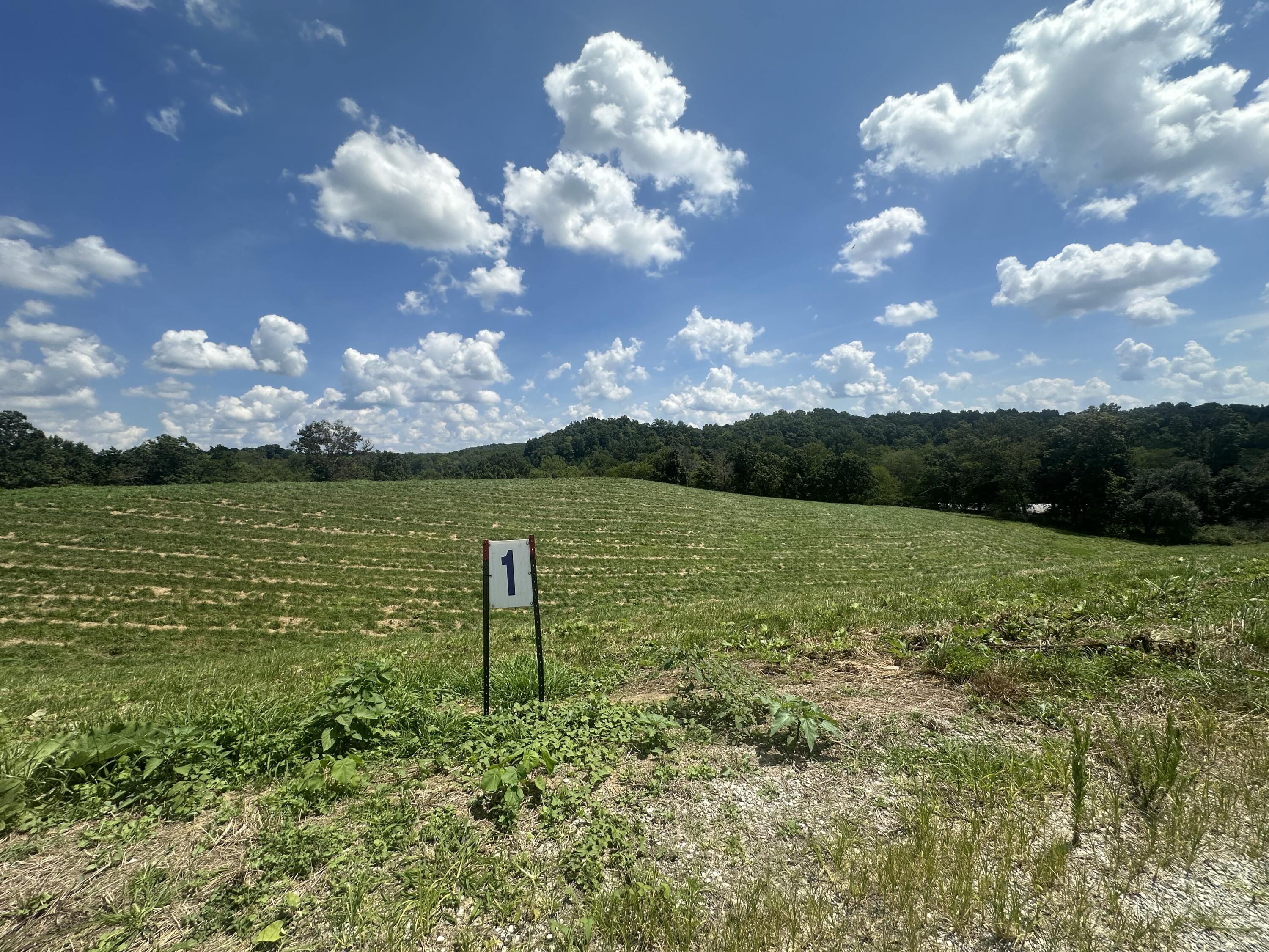 Tract 1 Pittsburg Landing Road Property Photo 12