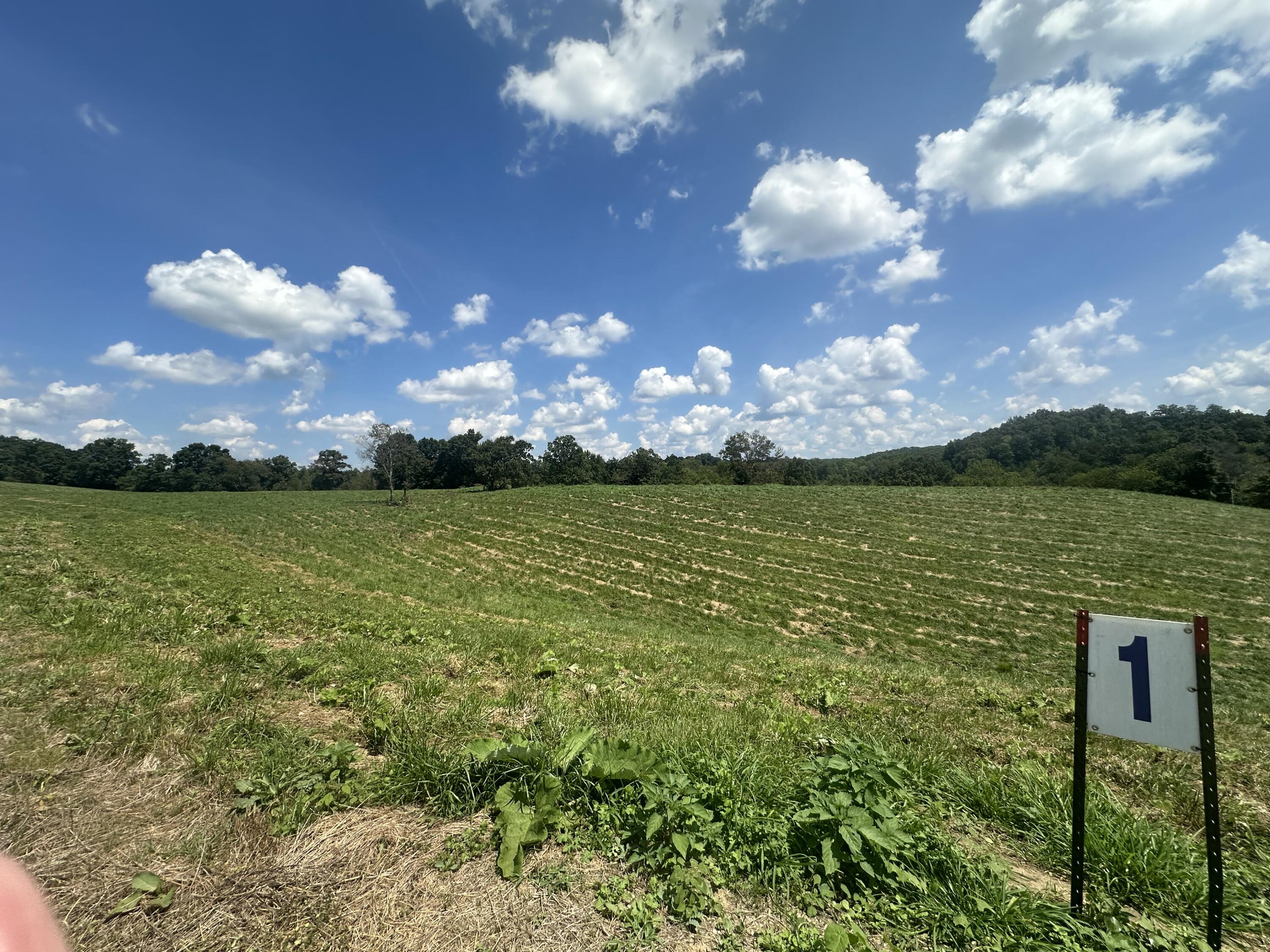Tract 1 Pittsburg Landing Road Property Photo 13