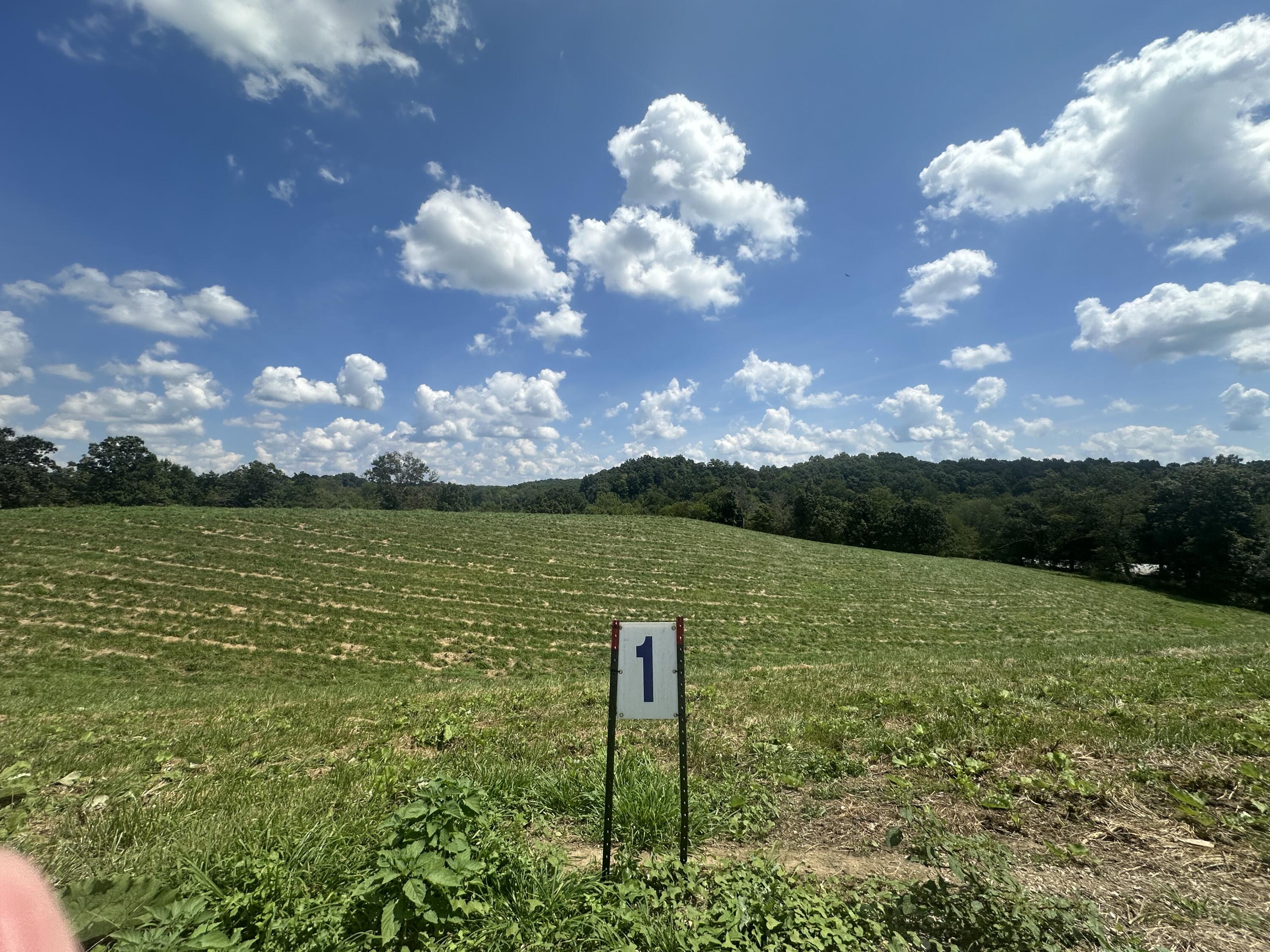 Tract 1 Pittsburg Landing Road Property Photo 14