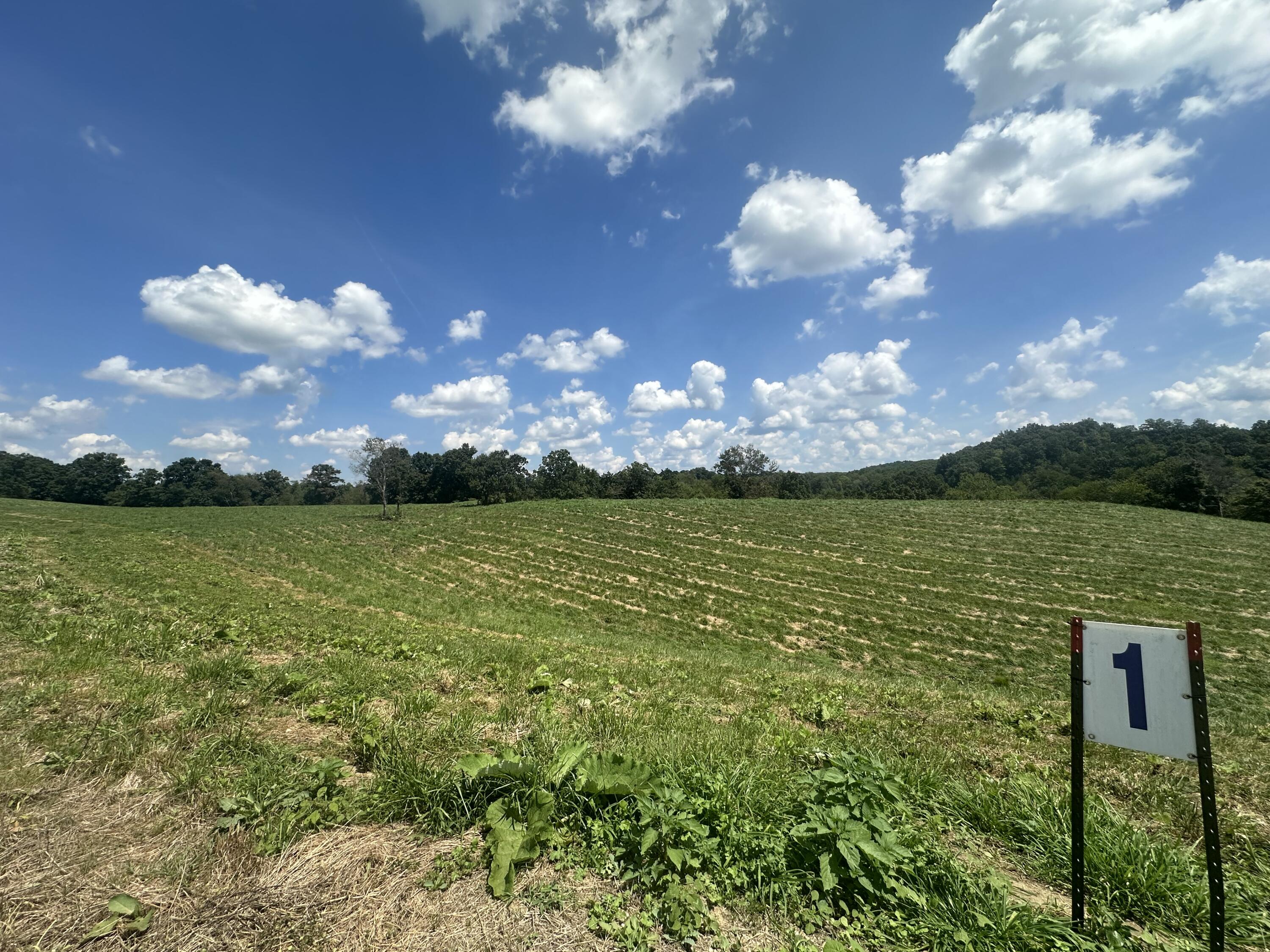 Tract 1 Pittsburg Landing Road Property Photo 16