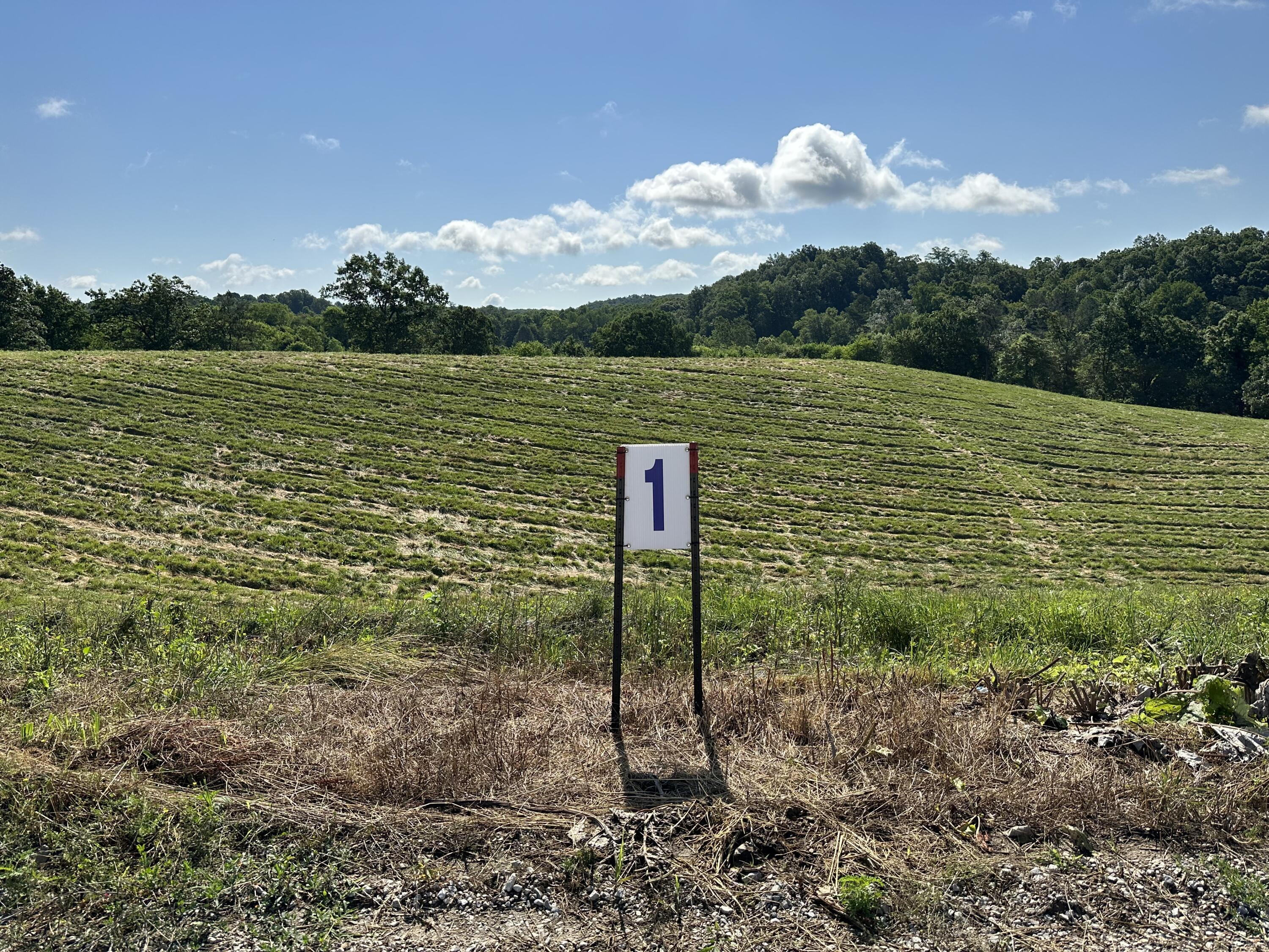 Tract 1 Pittsburg Landing Road Property Photo 17