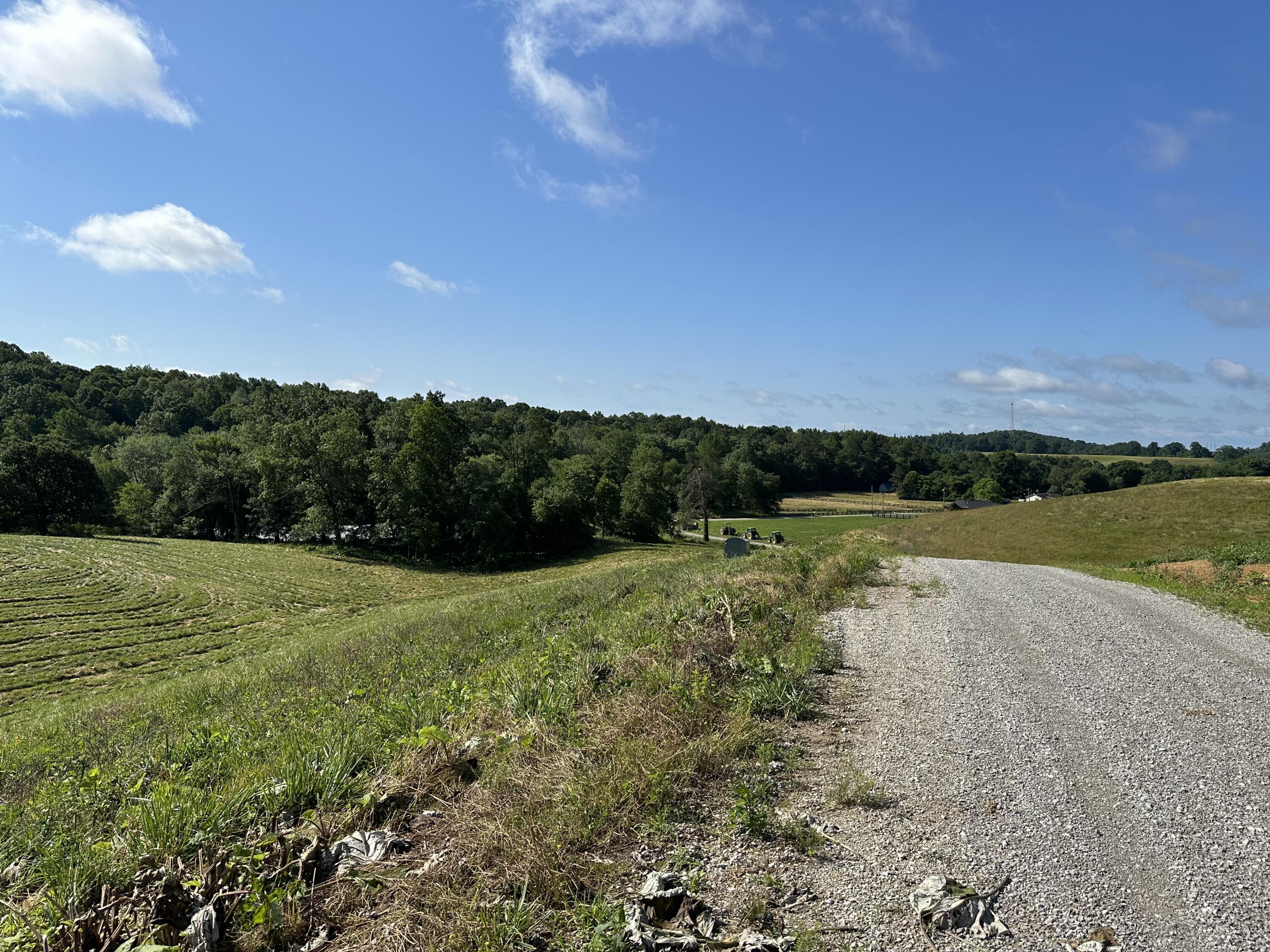 Tract 1 Pittsburg Landing Road Property Photo 18