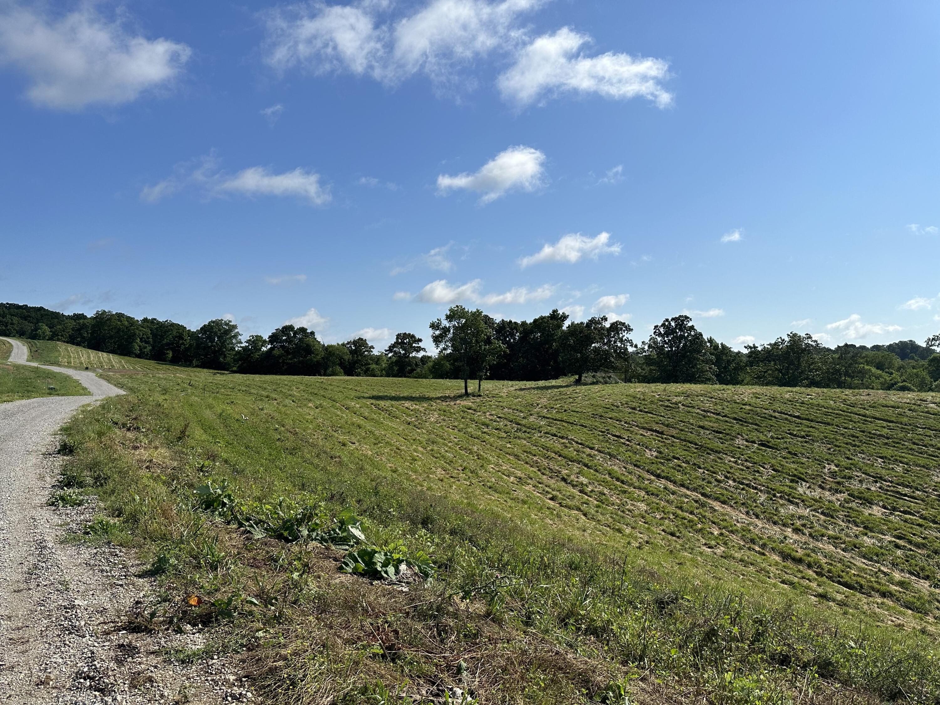 Tract 1 Pittsburg Landing Road Property Photo 20