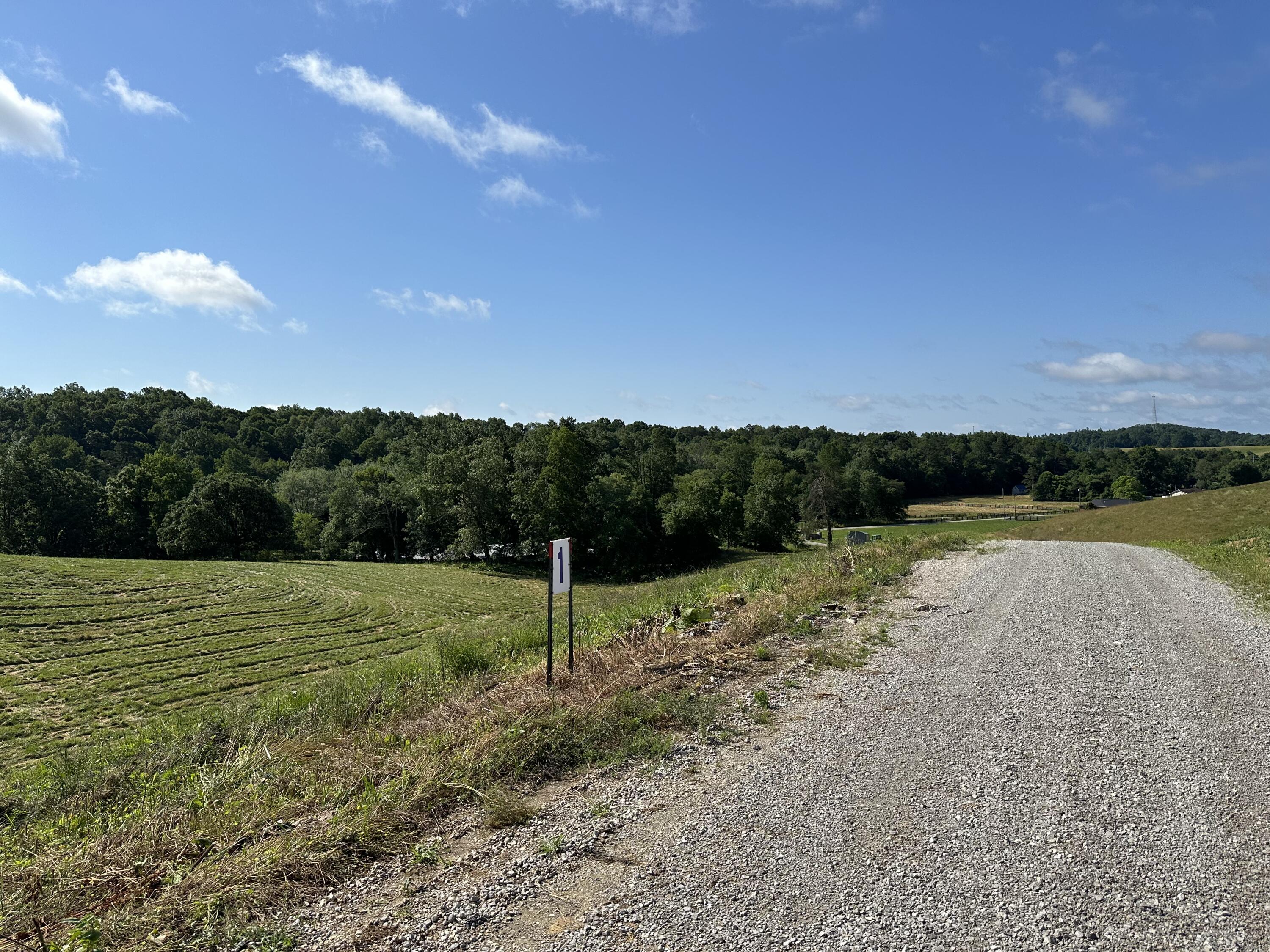 Tract 1 Pittsburg Landing Road Property Photo 23