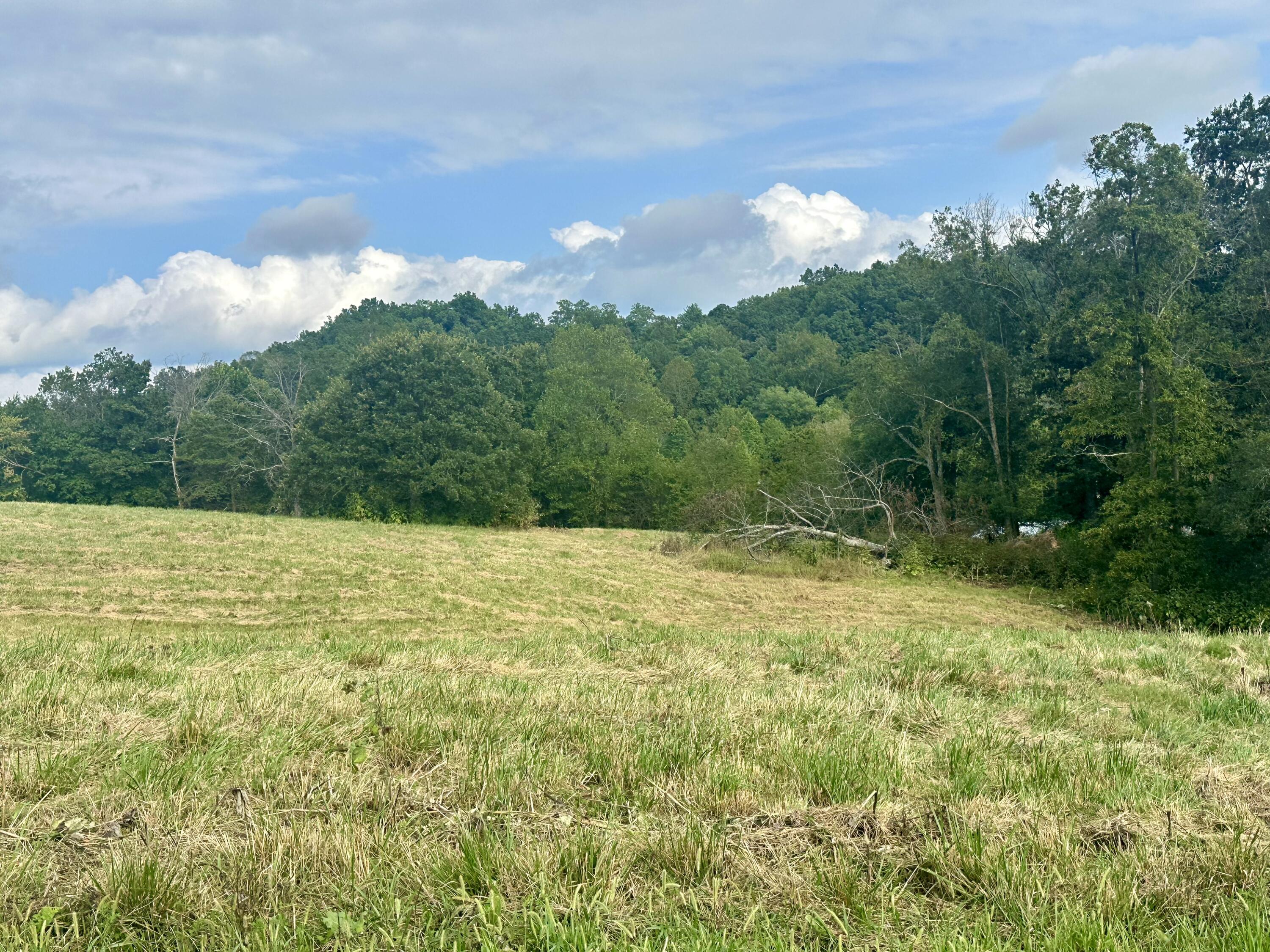 Tract 1 Pittsburg Landing Road Property Photo 25