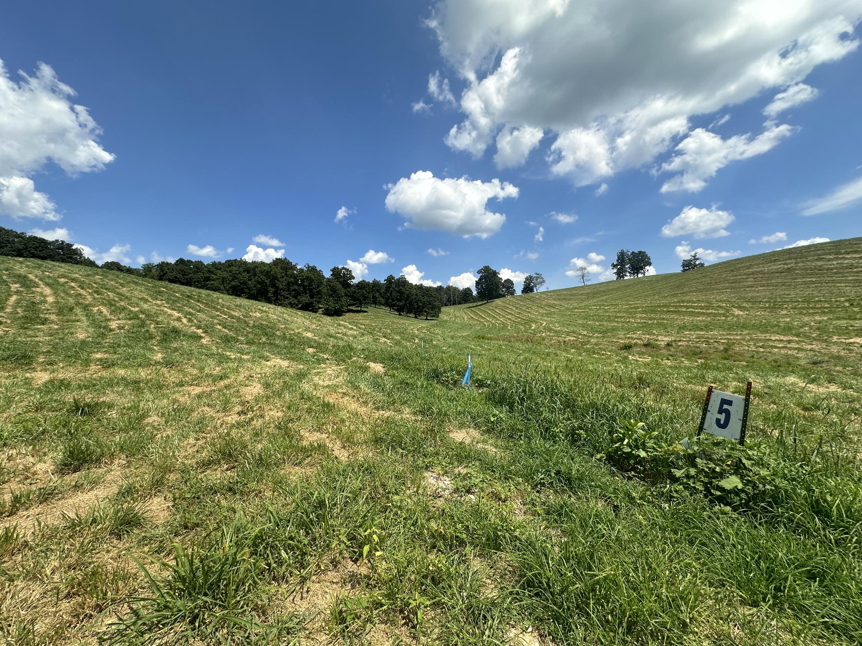 Tract 5 Hawk Landing Road Property Photo 14