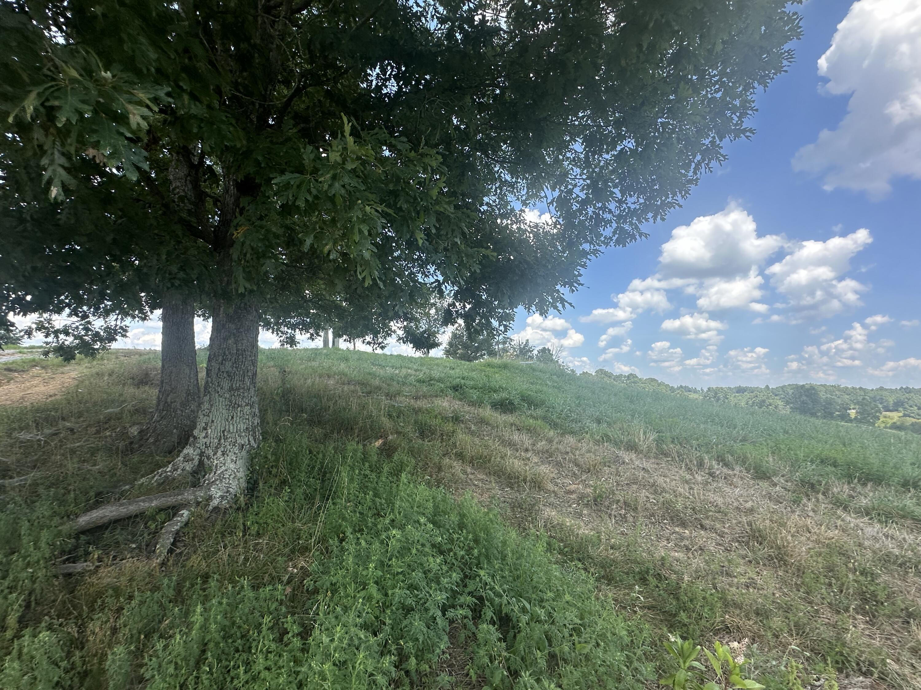 Tract 11 Eagle Landing Road Property Photo 9