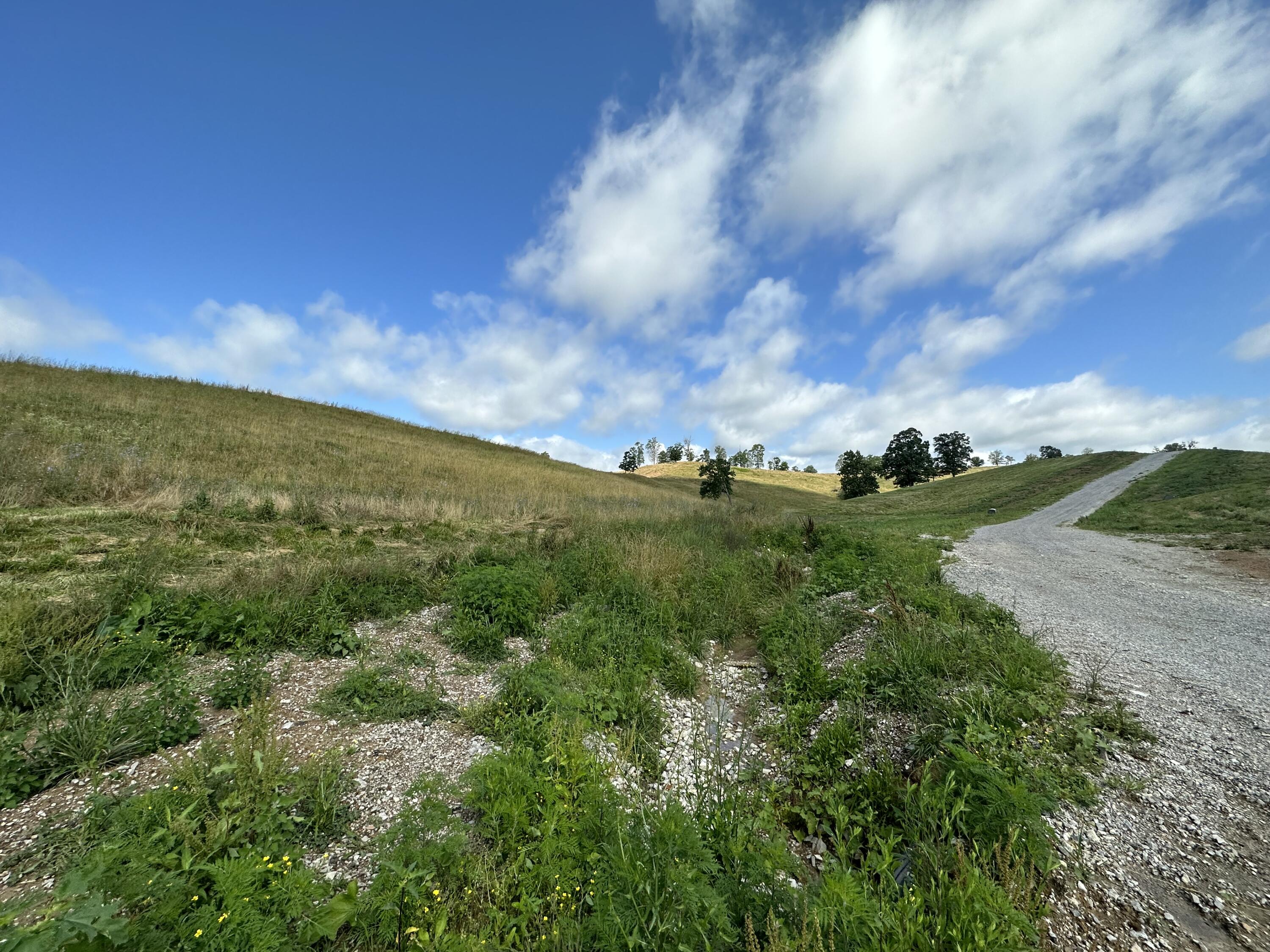 Tract 12 Pittsburg Landing Road Property Photo 11