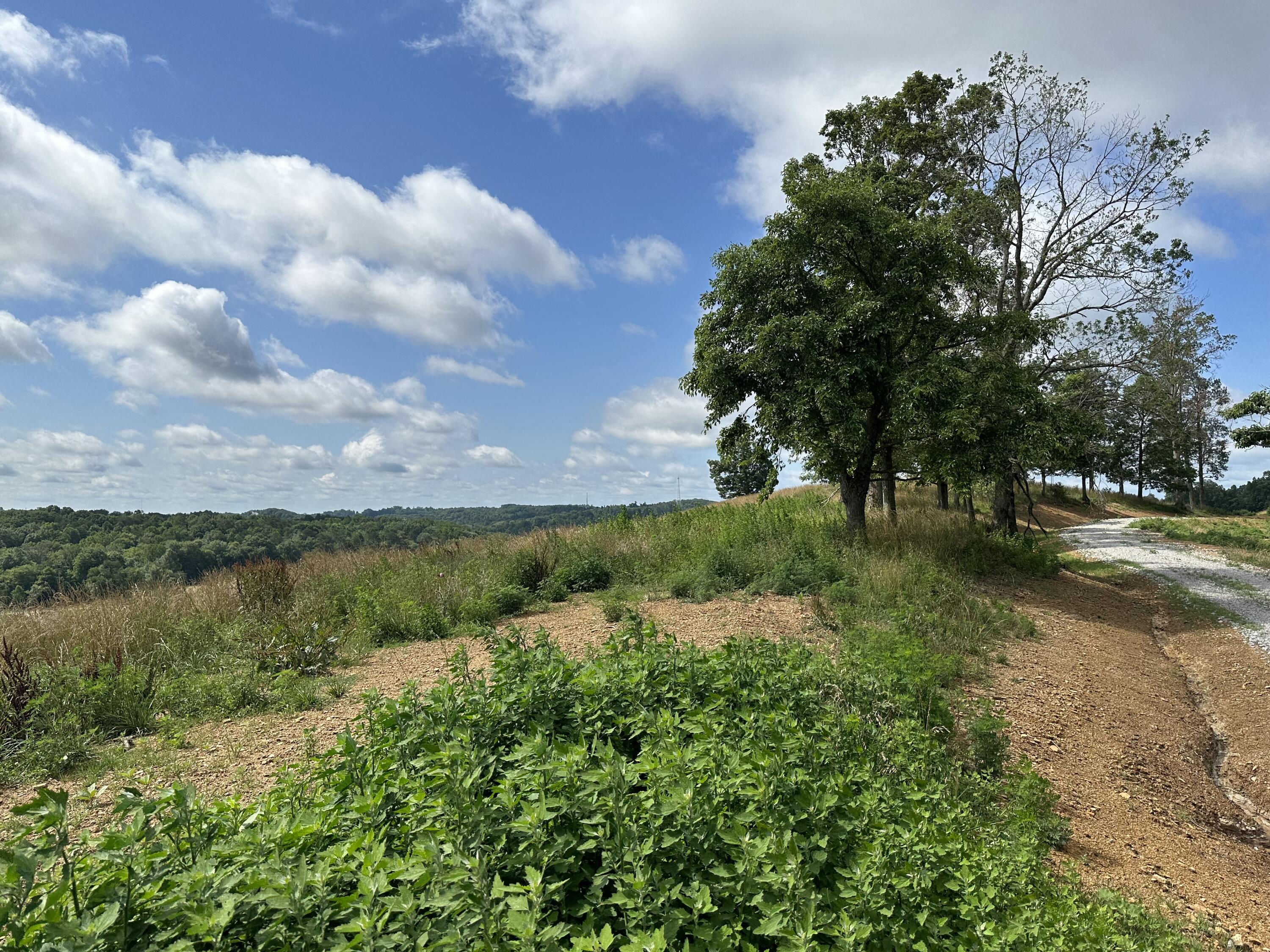 Tract 14 Eagle Landing Road Property Photo 8