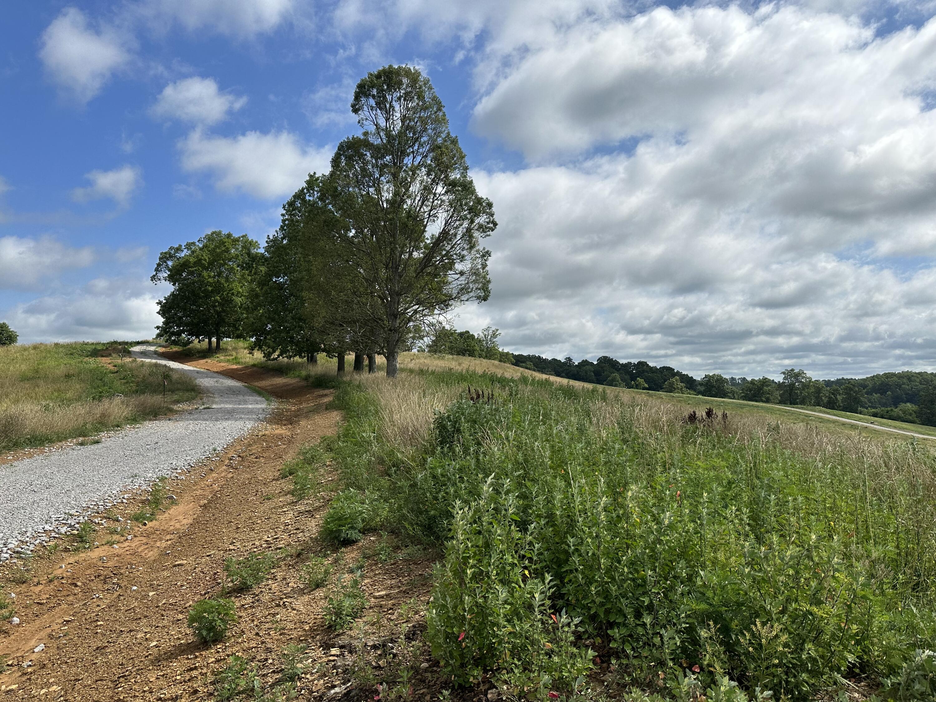 Tract 14 Eagle Landing Road Property Photo 9