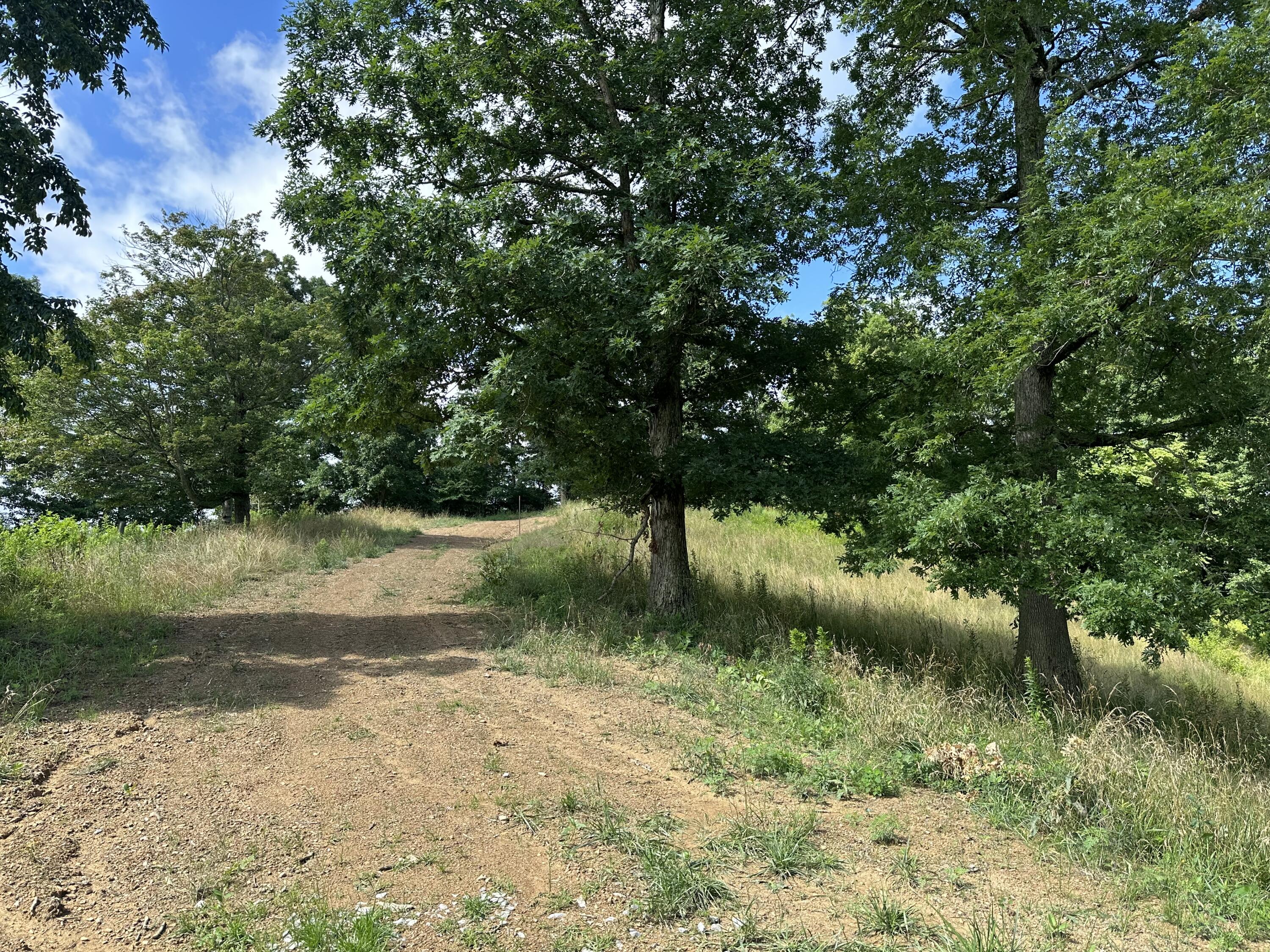 Tract 16 Pittsburg Landing Road Property Photo 6