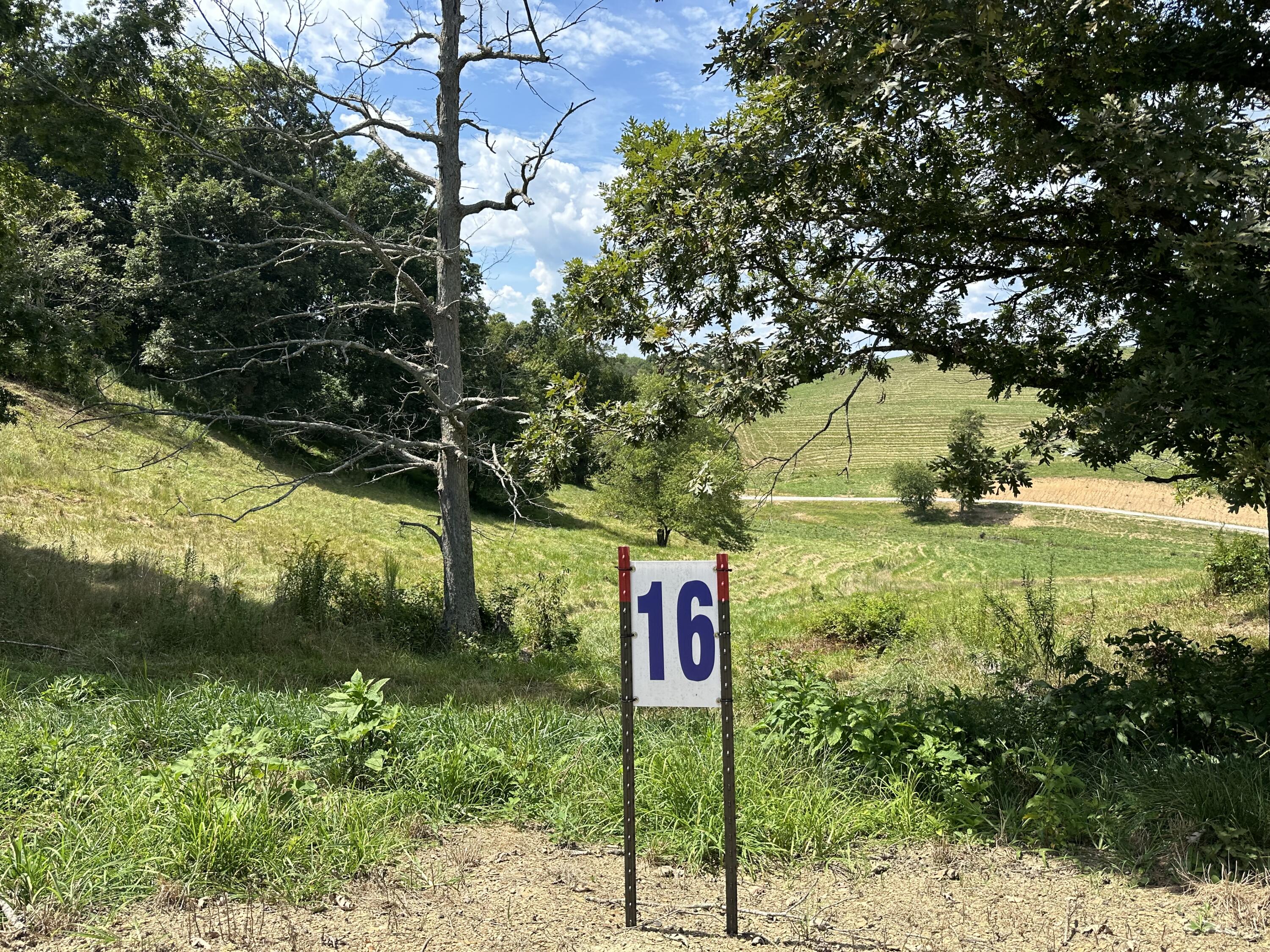 Tract 16 Pittsburg Landing Road Property Photo 10