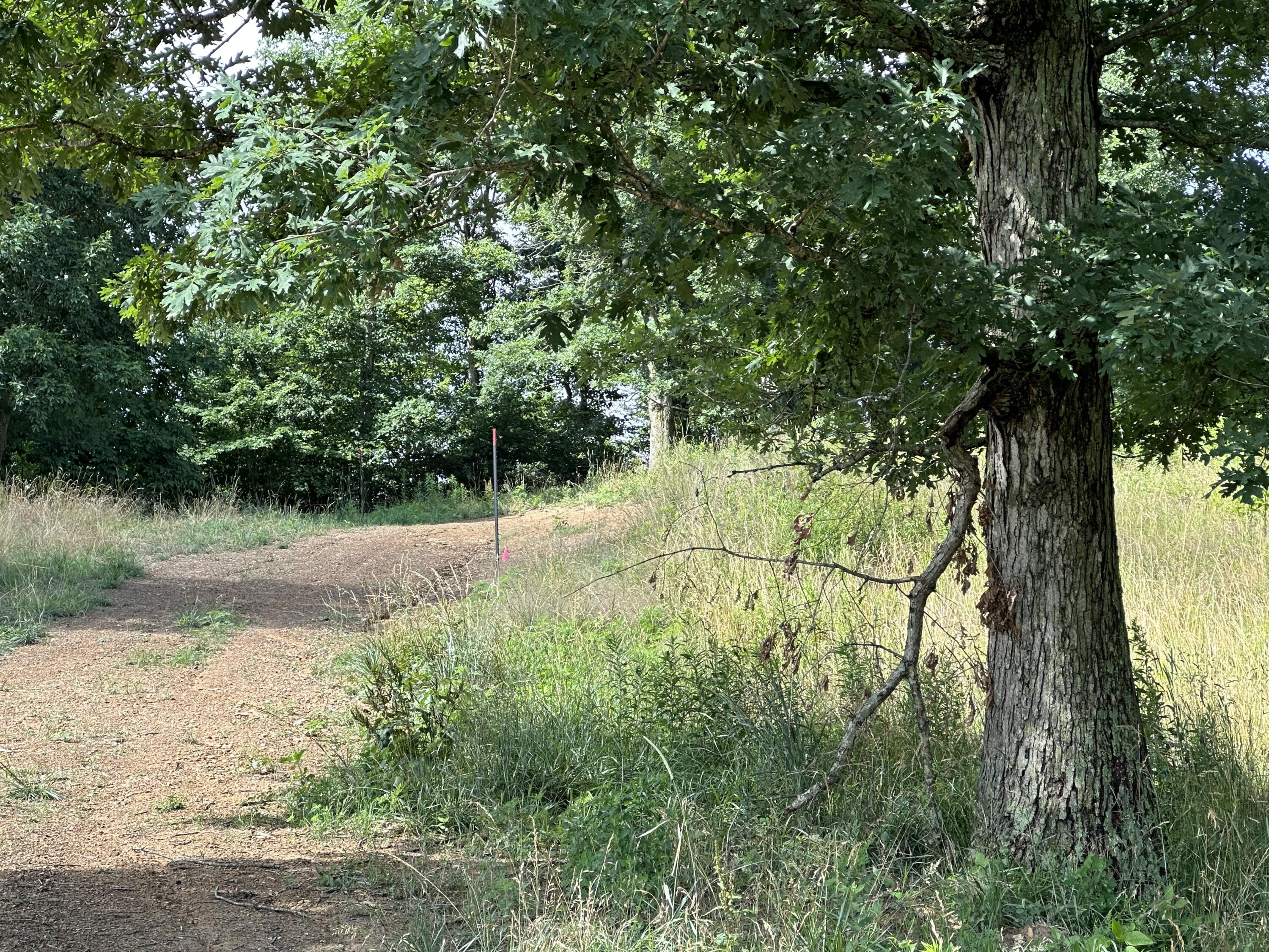 Tract 16 Pittsburg Landing Road Property Photo 11