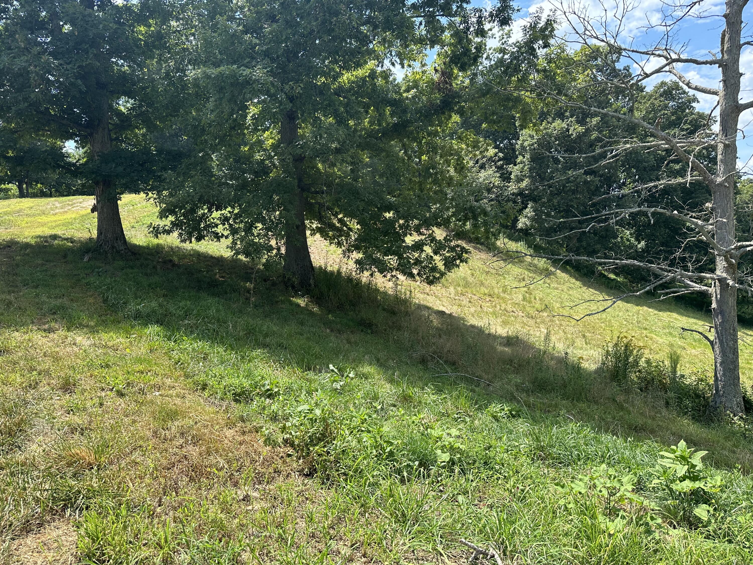 Tract 16 Pittsburg Landing Road Property Photo 12