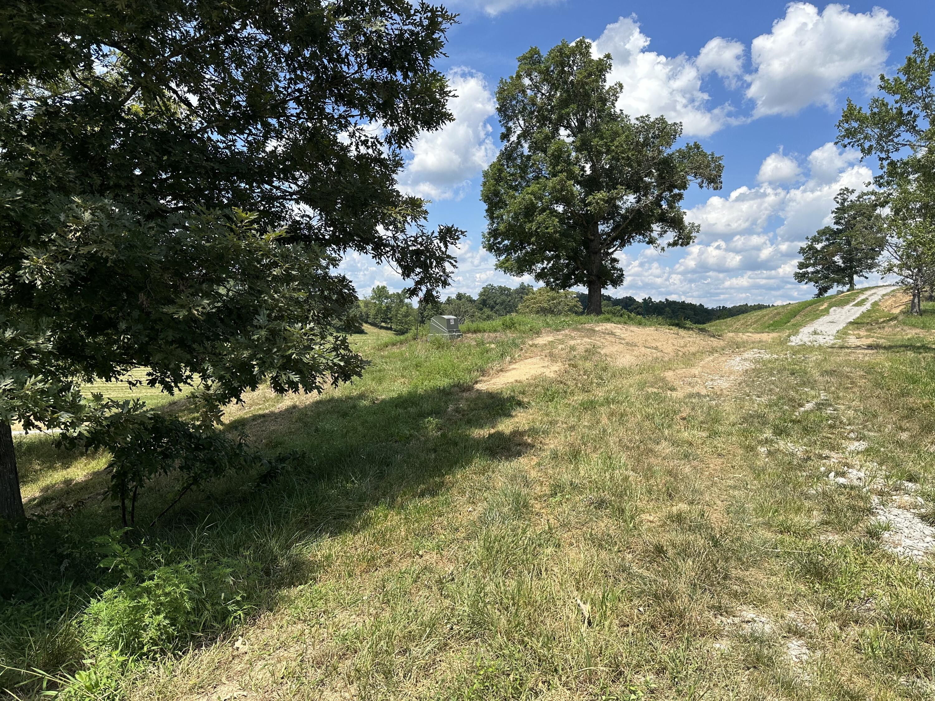 Tract 16 Pittsburg Landing Road Property Photo 13