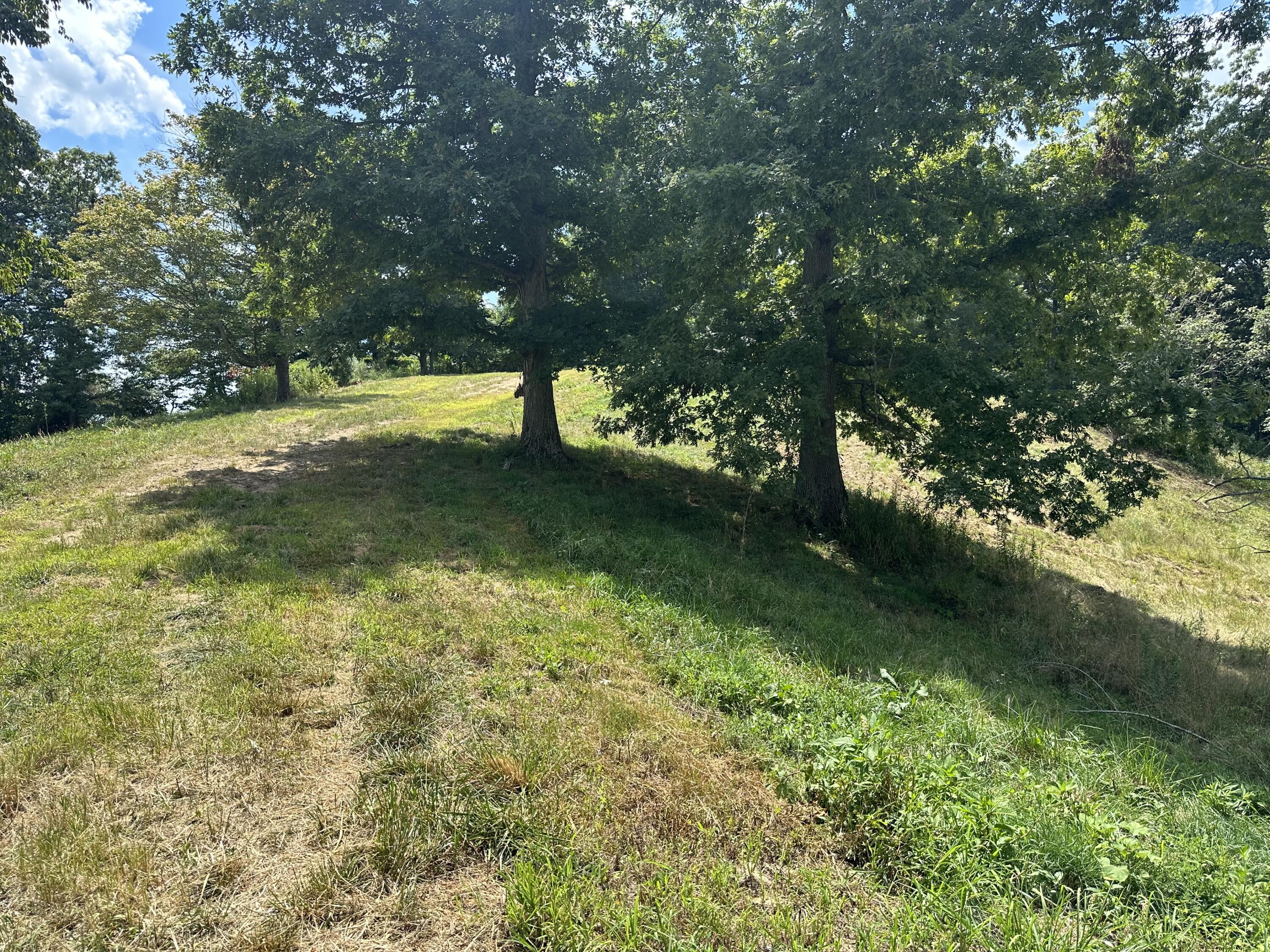 Tract 16 Pittsburg Landing Road Property Photo 15