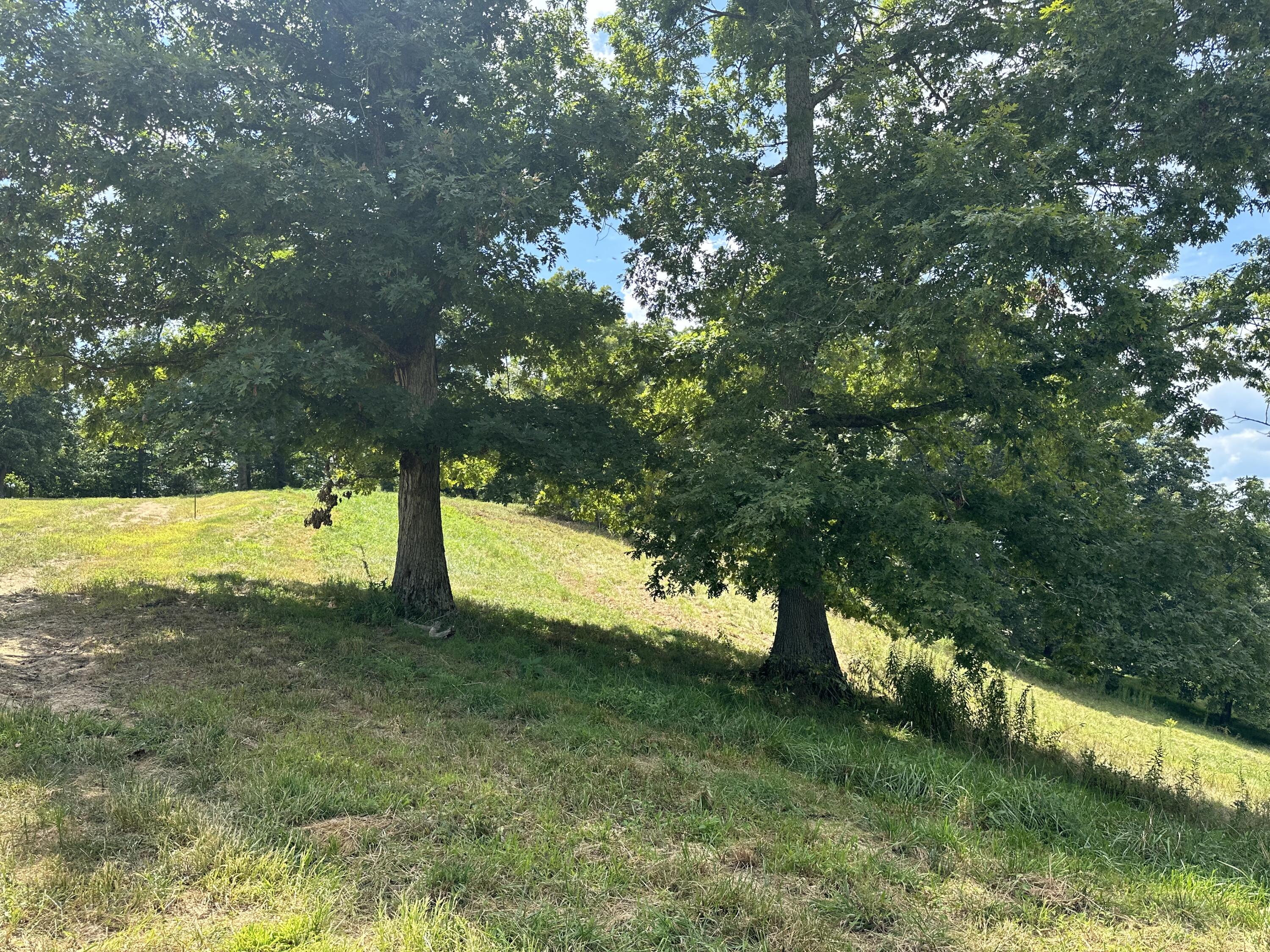 Tract 16 Pittsburg Landing Road Property Photo 17