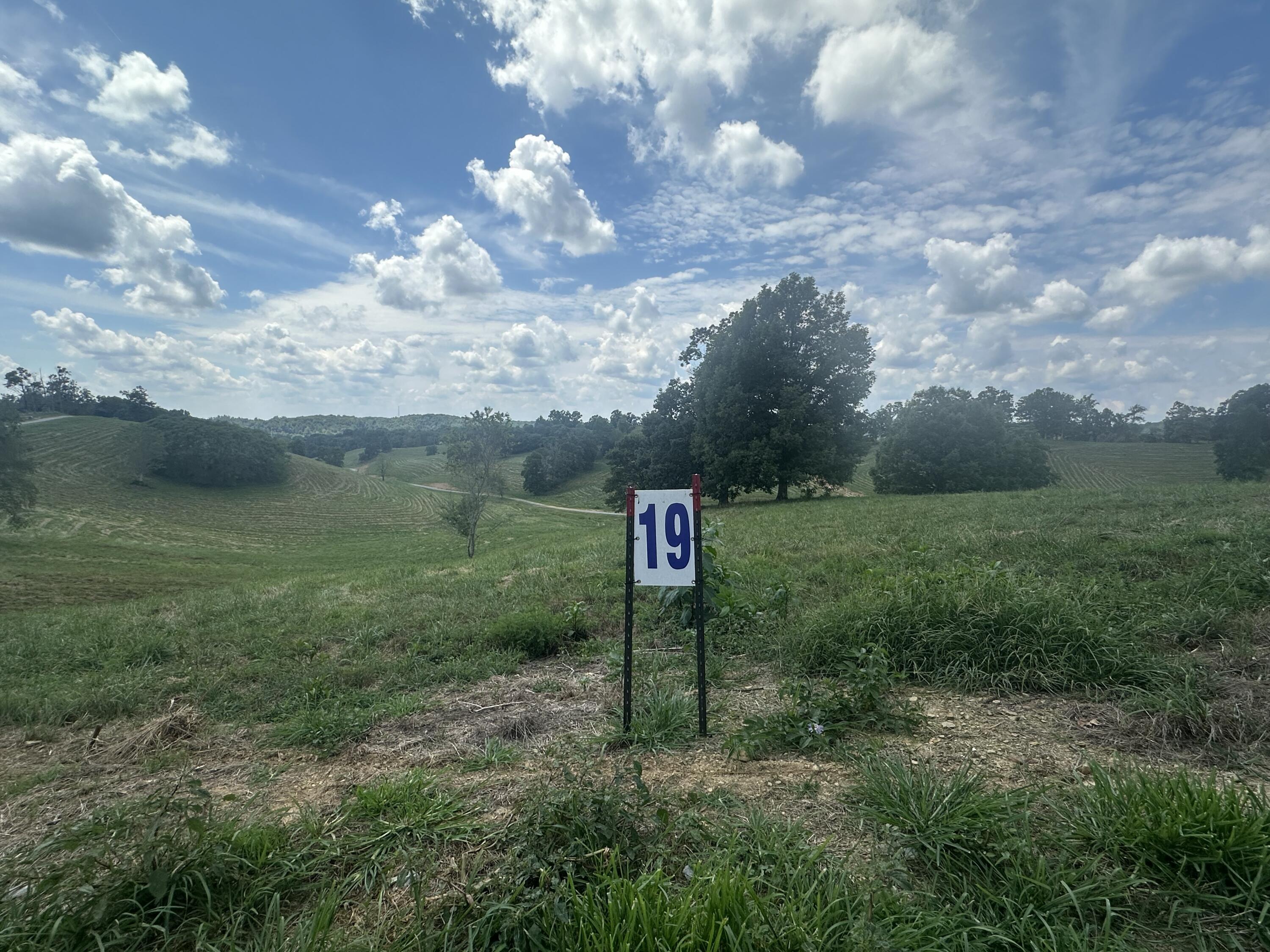 Tract 19 Pittsburg Landing Road Property Photo 10