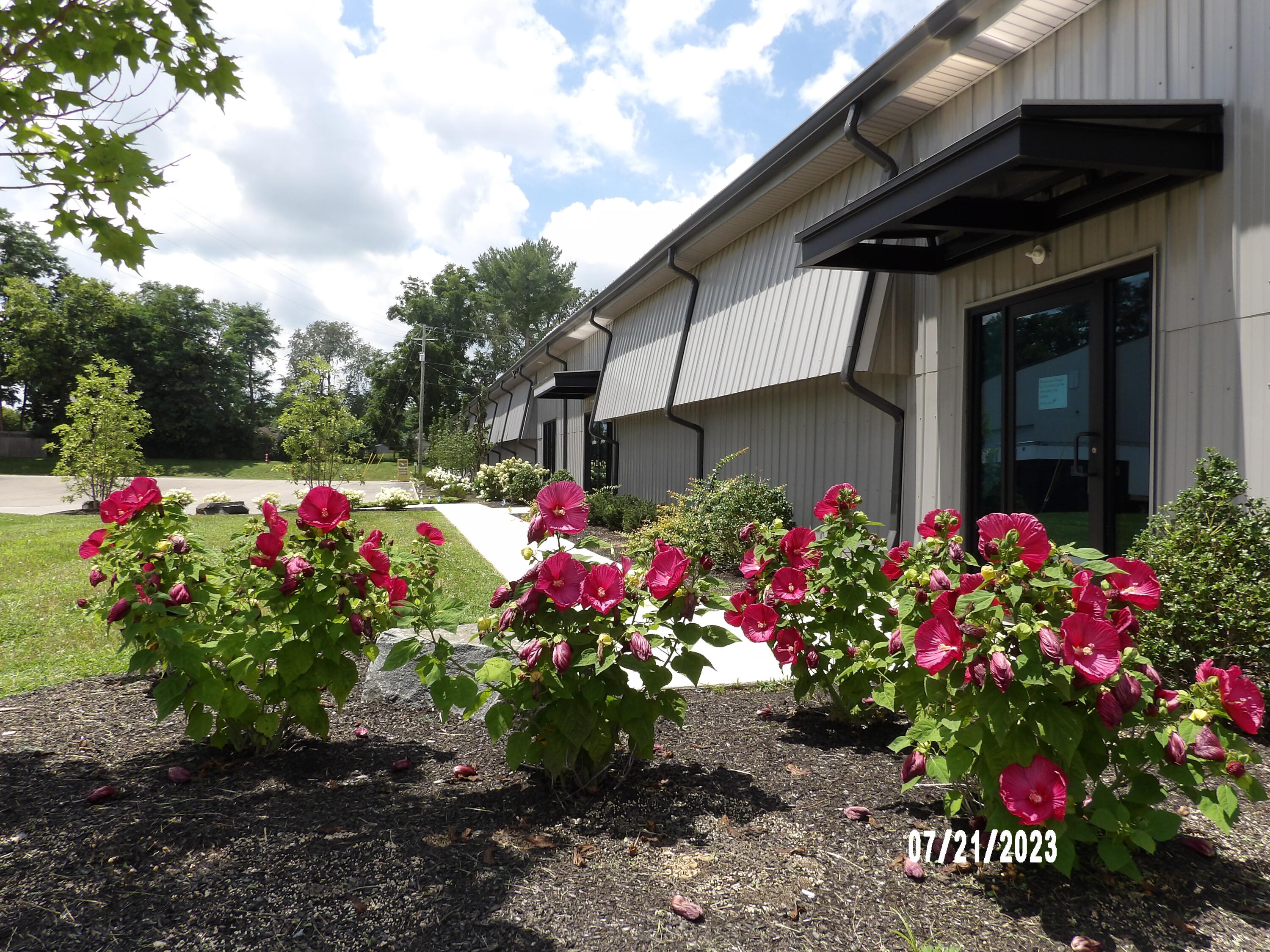 176 Turner Commons Way Property Photo 3