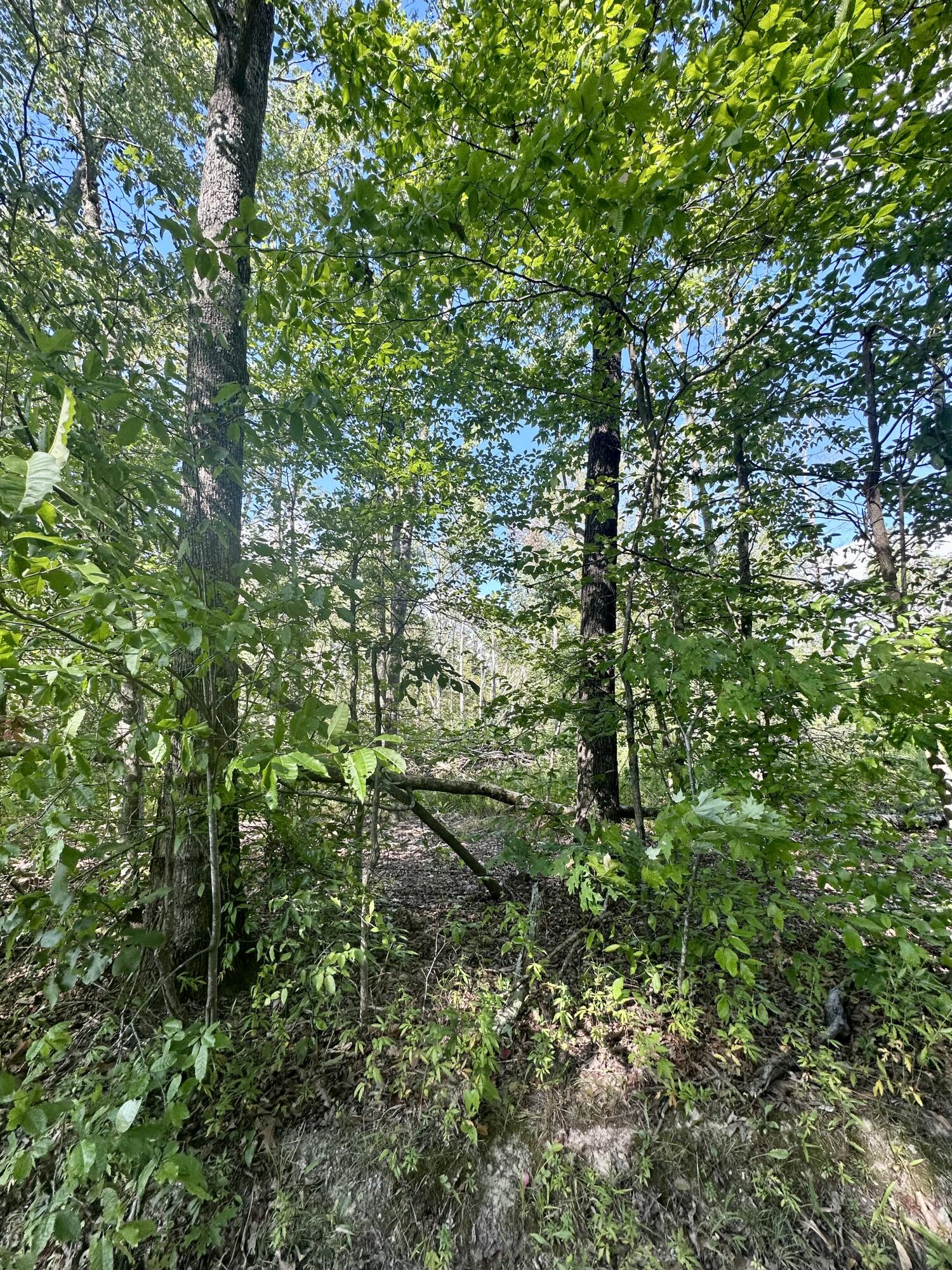 1800 Rice Road Property Photo 1